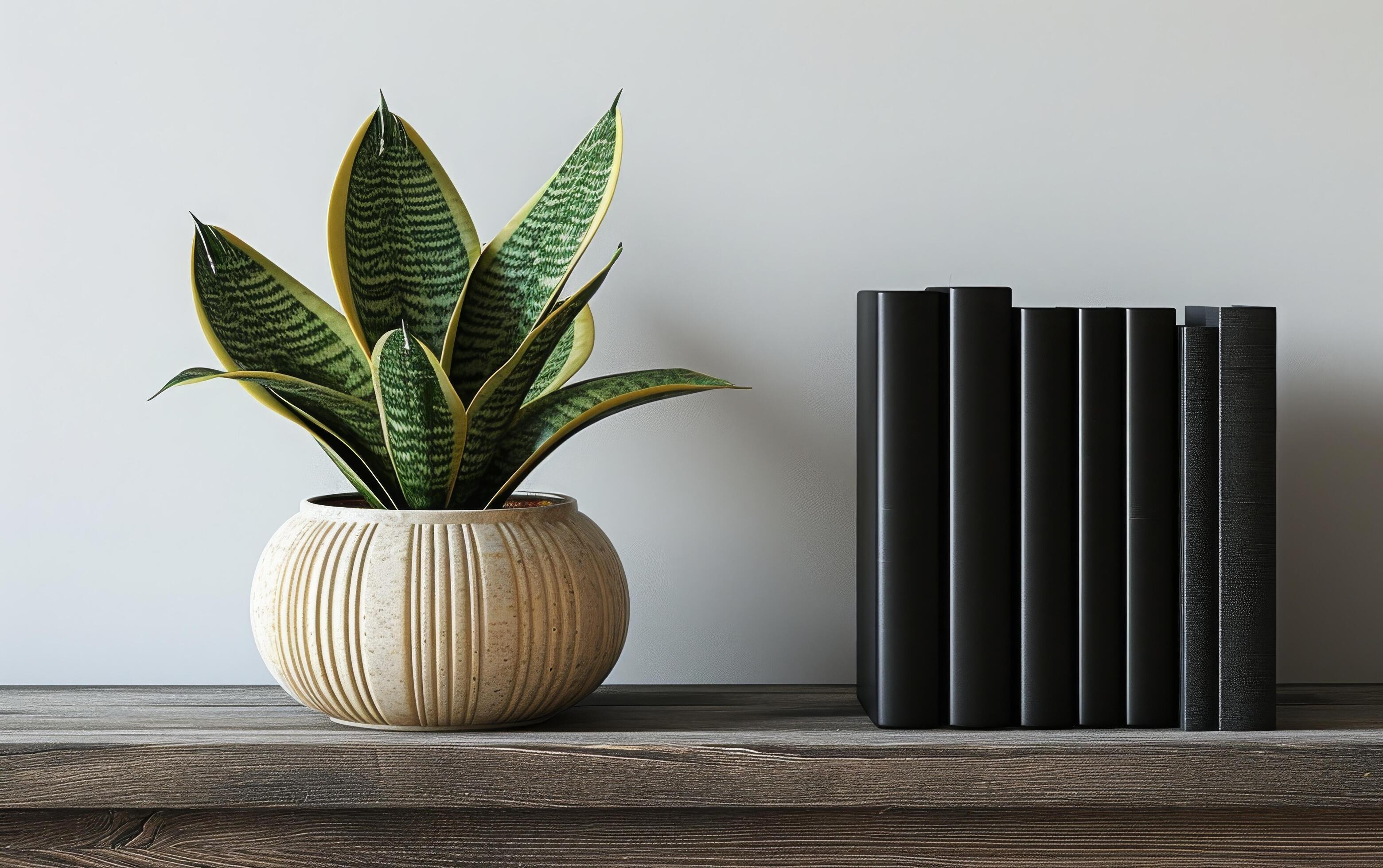 AI generated A potted snake plant adds a touch of greenery to a minimalist shelf arrangement Stock Free