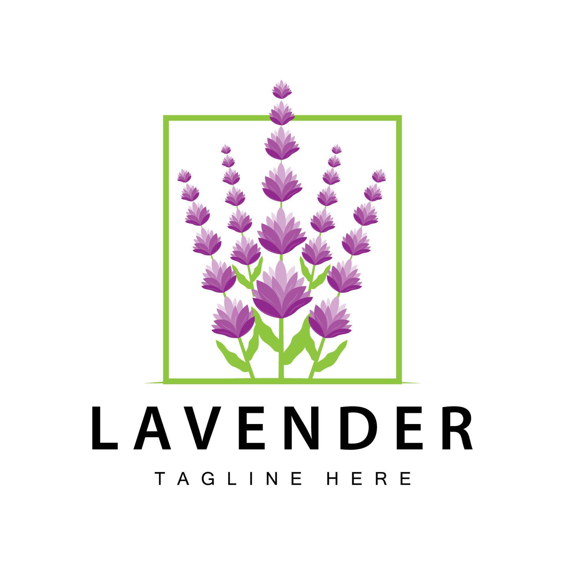 Lavender logo simple design vector cosmetic plant purple color and aromatherapy lavender flower garden template Stock Free