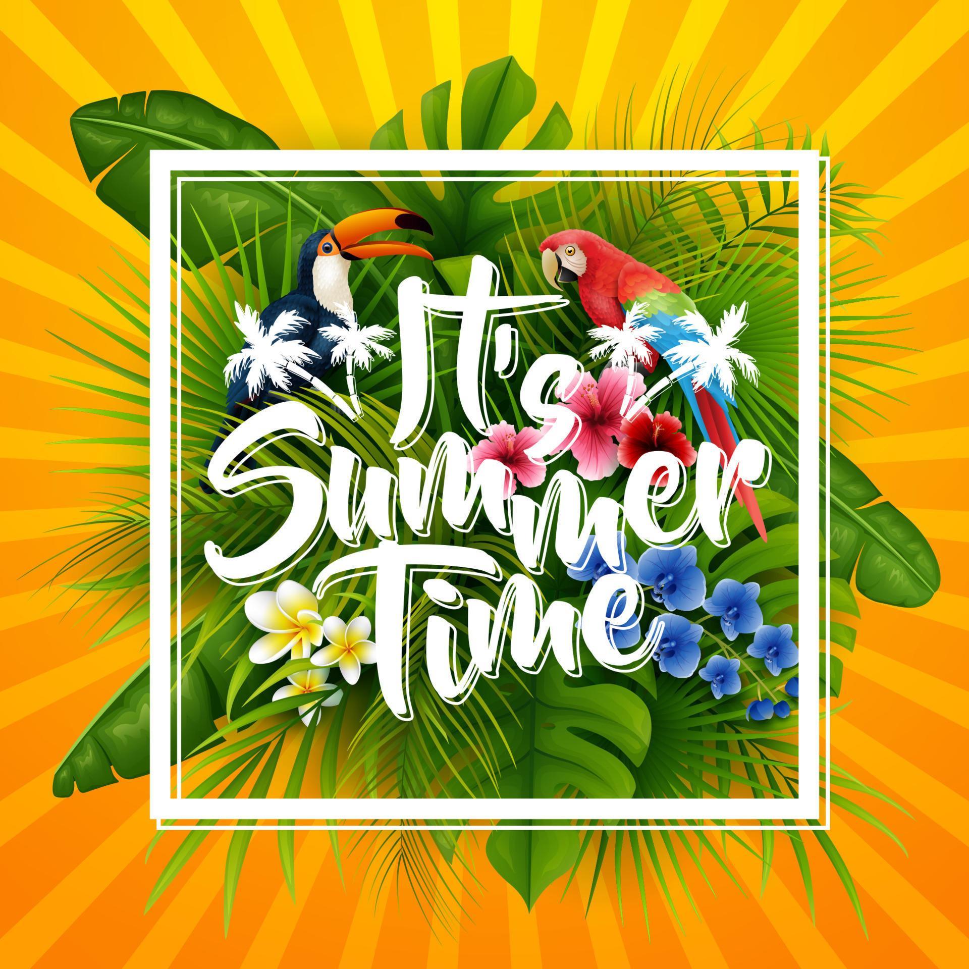 It’s summer time typography. striped background with tropical plants, flowers, palm leaves and parrot Stock Free