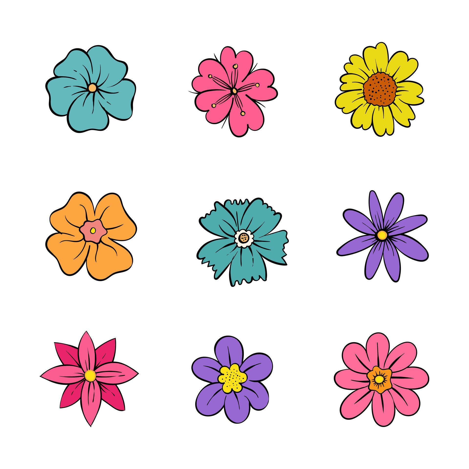 Flower vector illustration. Flower petals in various colour. Cartoon blossom floral vector. Stock Free