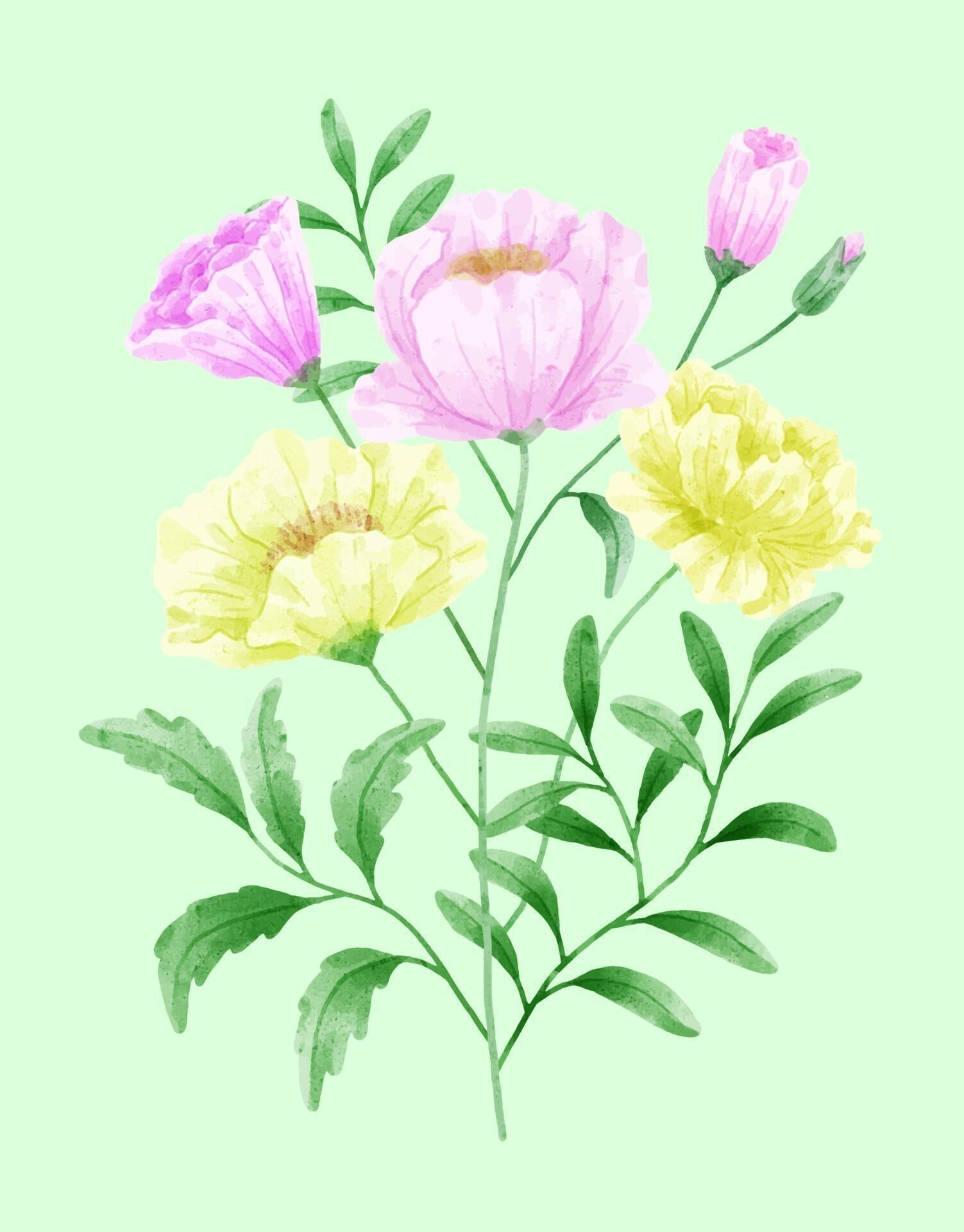 A set of flowers painted in watercolor for designer work create Stock Free