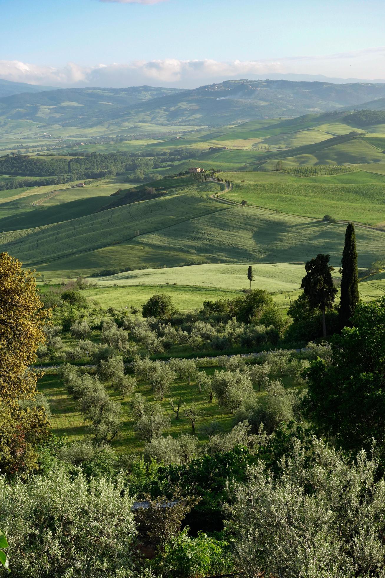 Countryside of Val d’Orcia near Pienza in Tuscany Stock Free