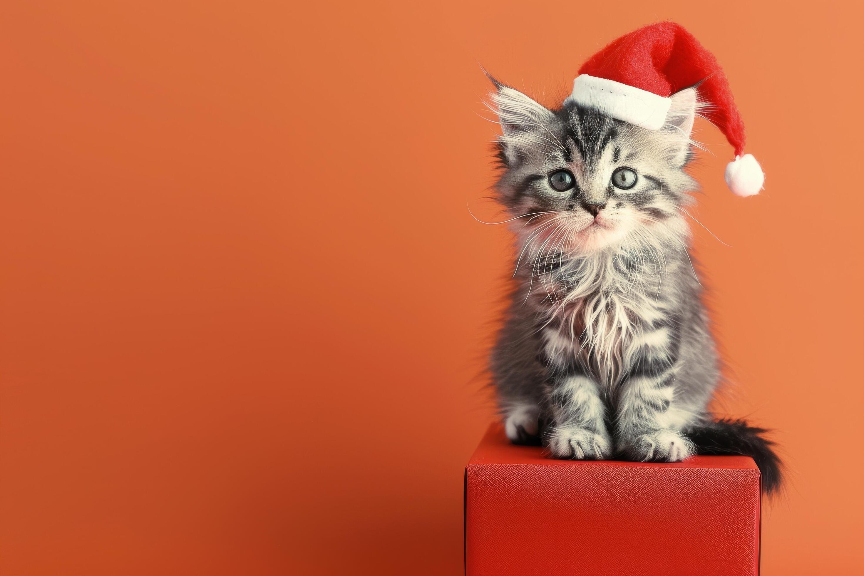 Adorable Kitten Wearing Santa Hat Sitting on Red Gift Box Against Orange Background Stock Free