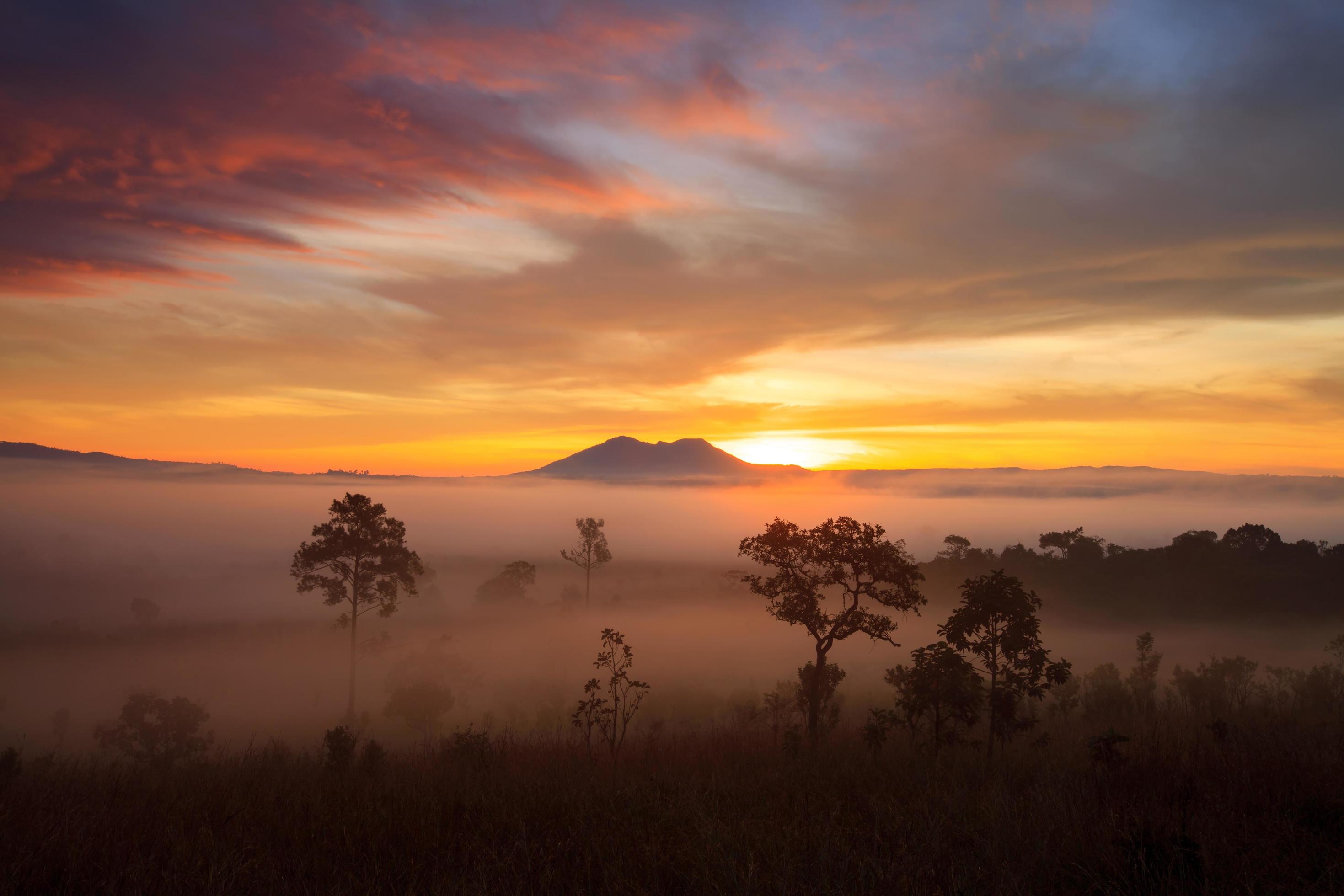 Misty morning sunrise at Thung Salang Luang National Park Phetchabun,Thailand Stock Free