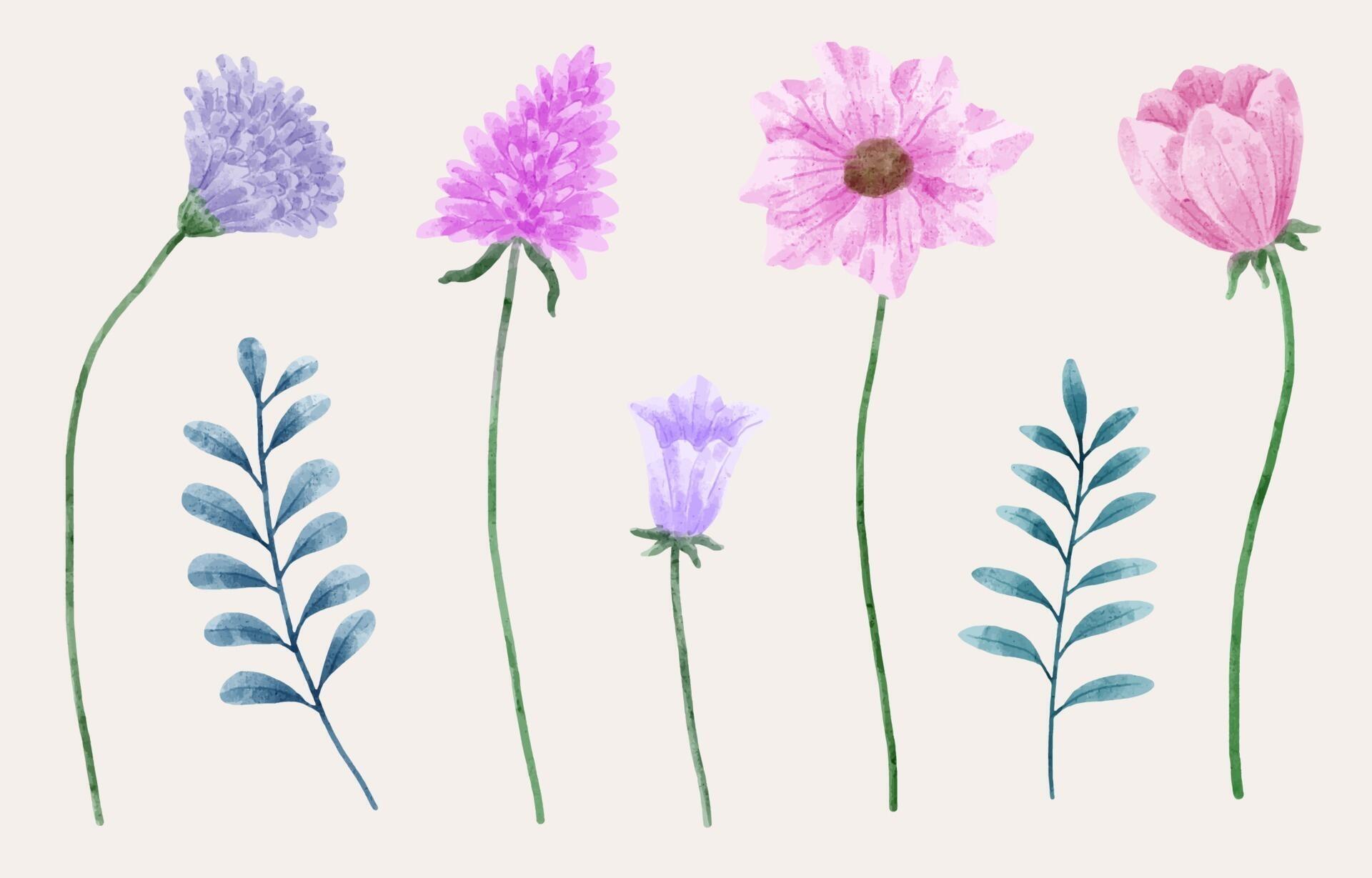 A set of flowers painted in watercolor for designer work create Stock Free