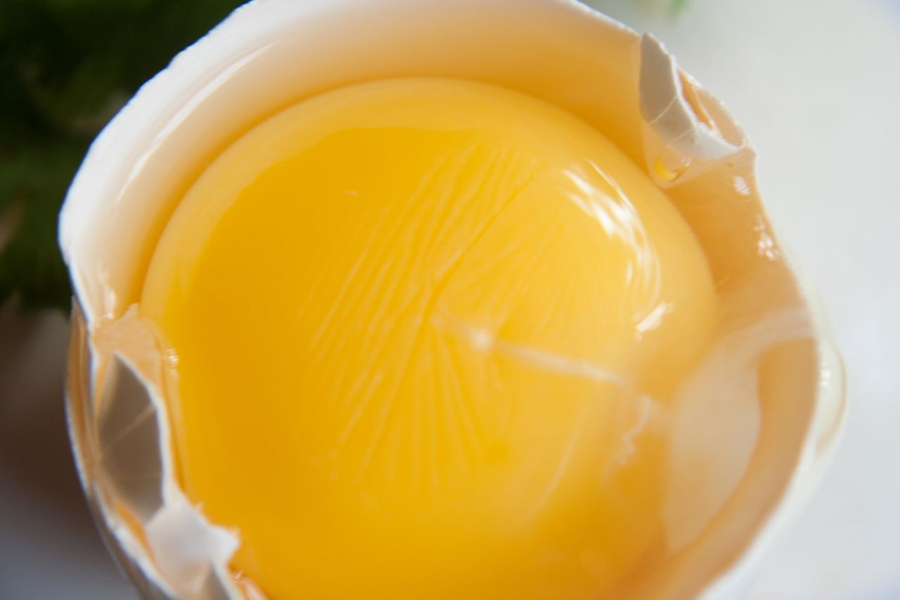 Egg Raw Stock Free