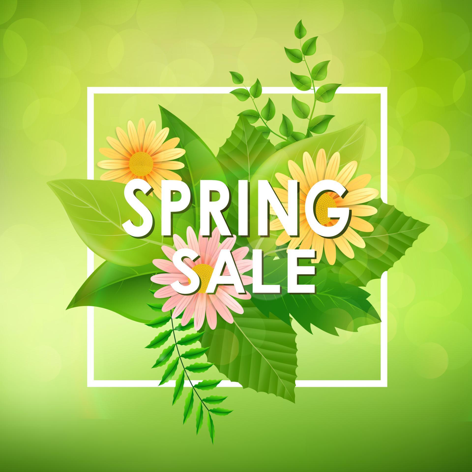 Spring sale background banner with beautiful colorful flower and green leaves Stock Free