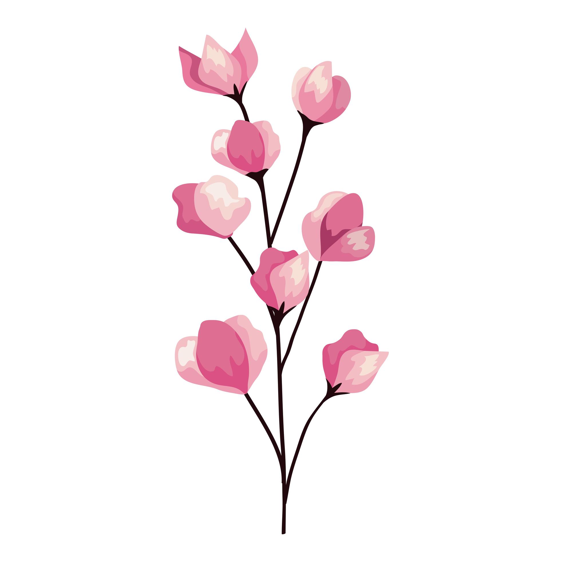 pink flowers branch Stock Free