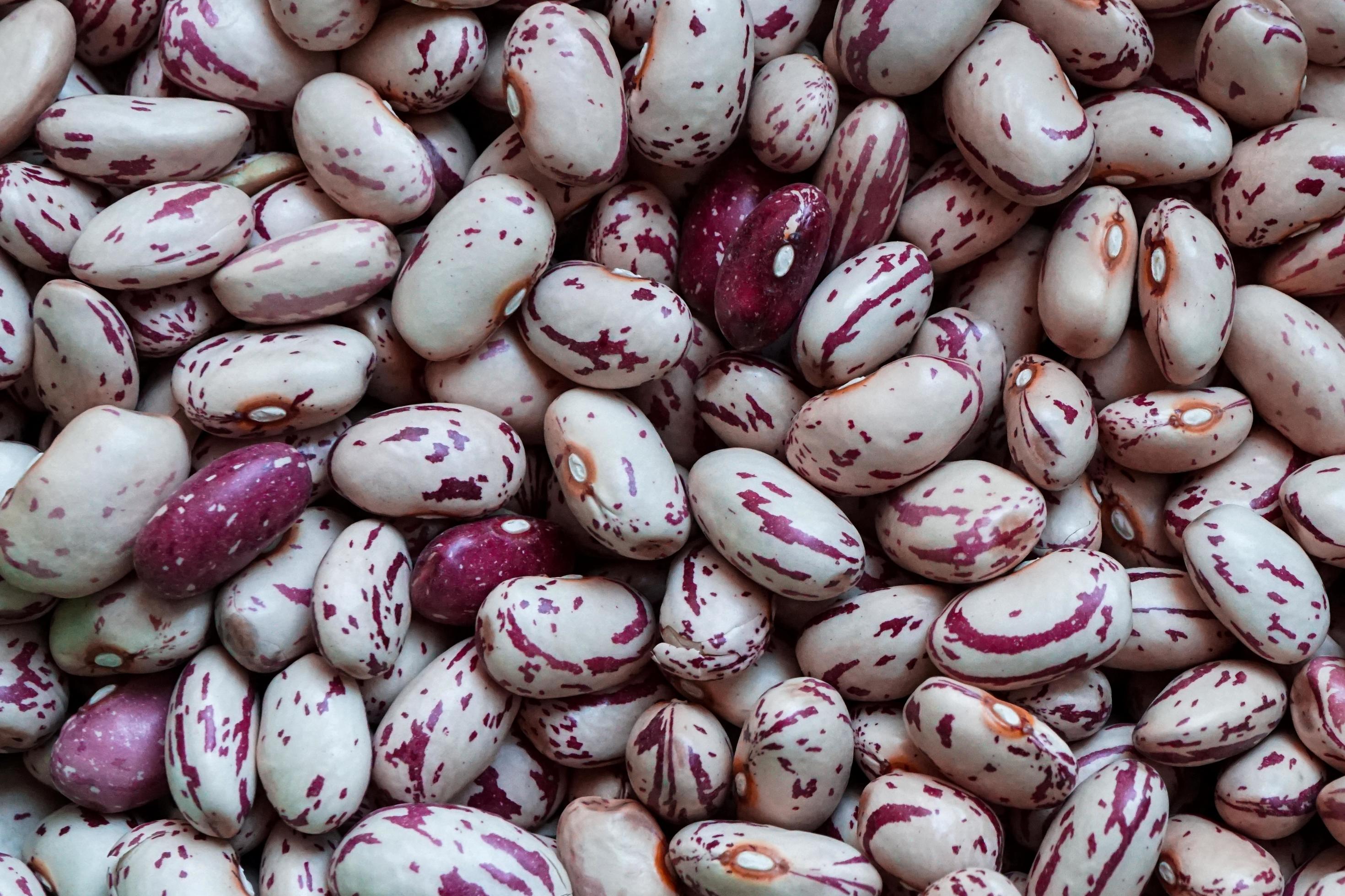 uncooked red beans, mediterranean food Stock Free