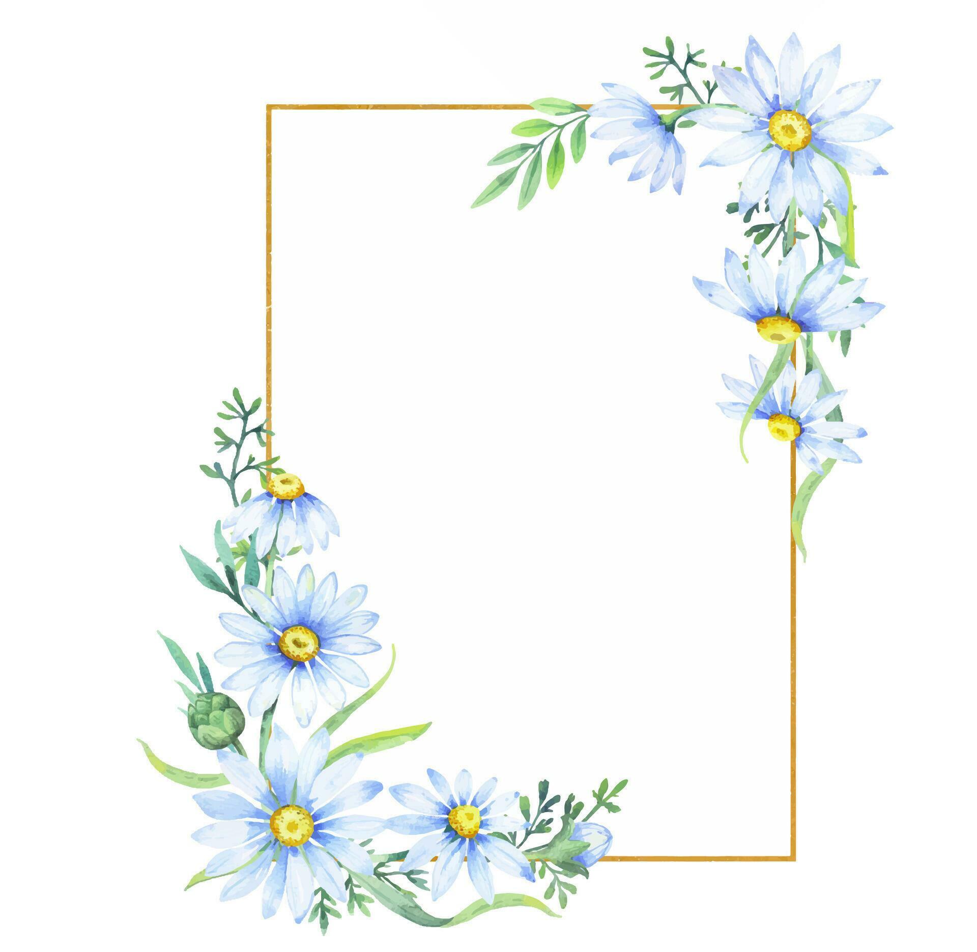 Gold square frame with apothecary chamomile flowers. Floral border of daisies, watercolor illustration Stock Free