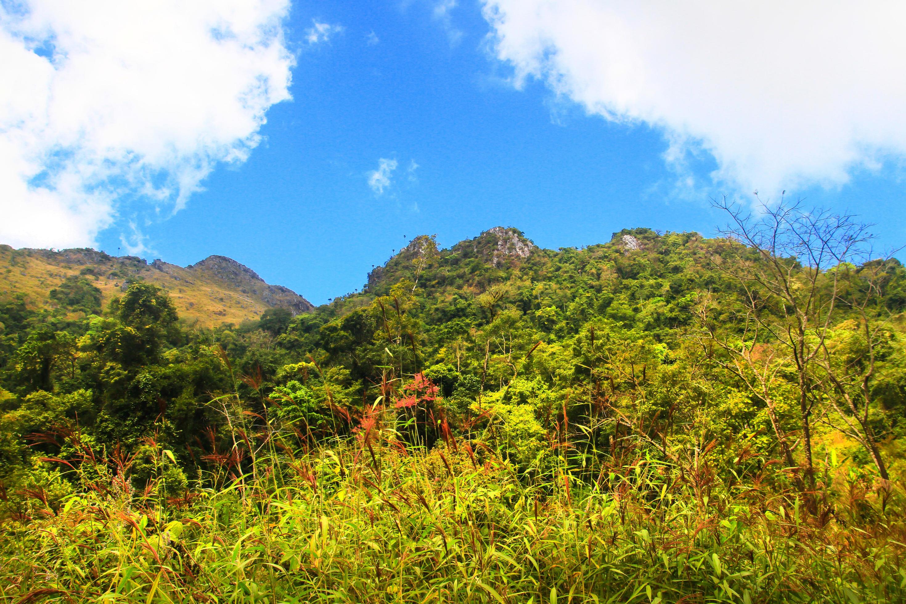 Beautiful Landscape of rocky Limestone Mountain and green forest with blu sky at Chiang doa national park in Chiangmai, Thailand Stock Free