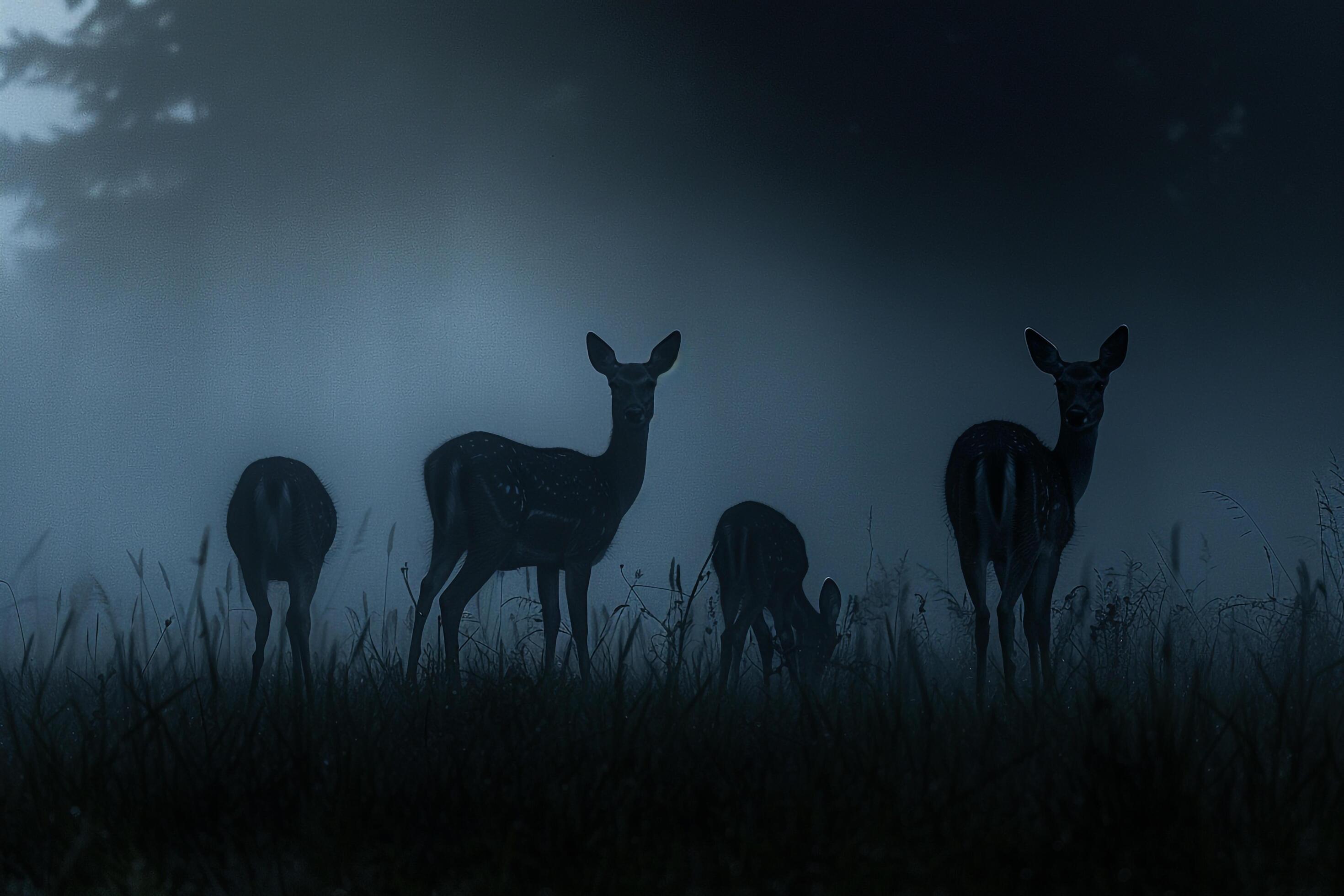 Moonlight Filtering Through Mist Casting Silver Glow on Family of Deer Grazing in Meadow Background in Nature Stock Free