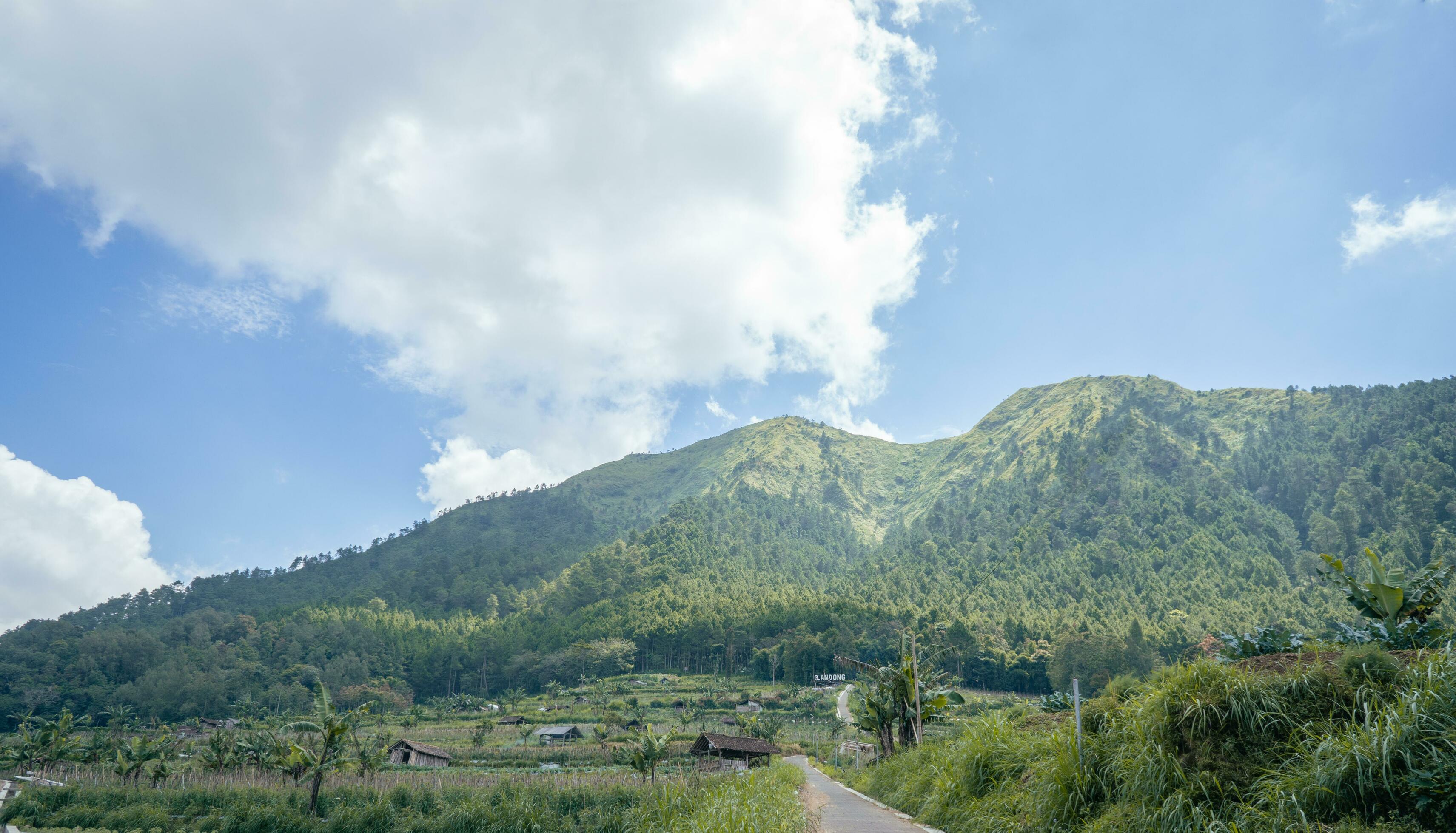 Landscape mountain when morning time sunlight summer vibes. The photo is suitable to use for adventure content media, nature poster and forest background. Stock Free