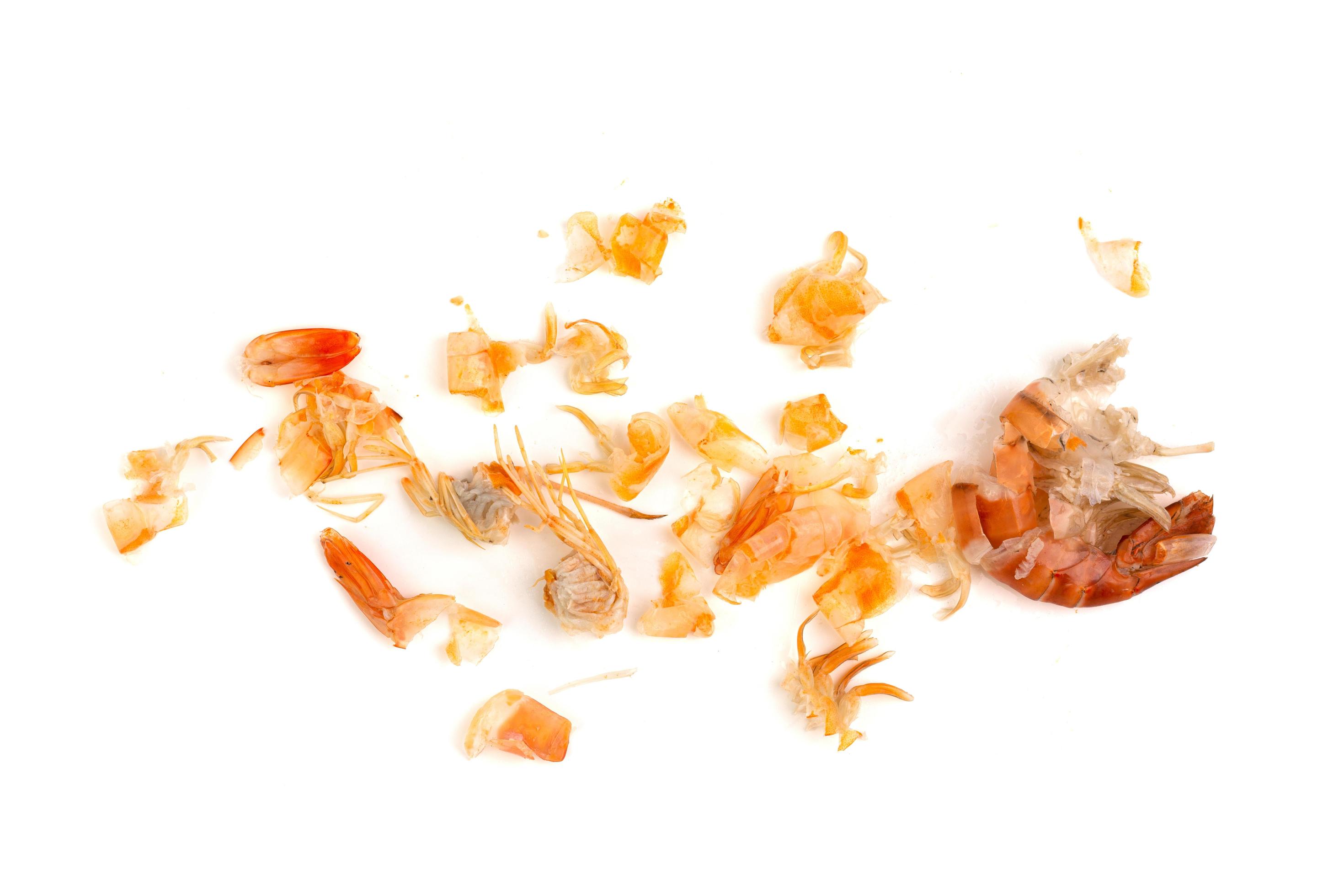 Shrimp heads and shrimp shells, food waste, leftovers, waste. Natural seafood. Lunch. Dinner isolated on white background. Stock Free