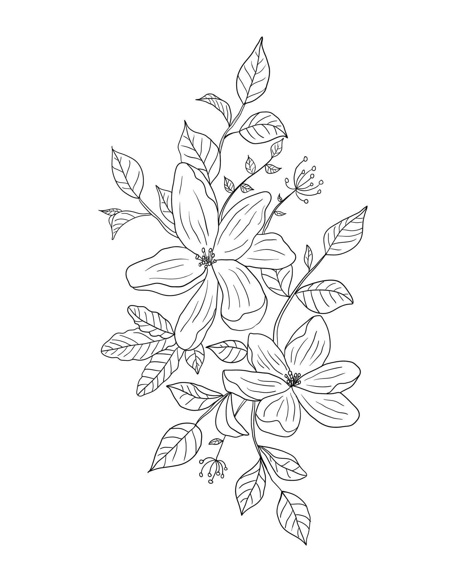 Hand drawn Beautiful Flowers Stock Free