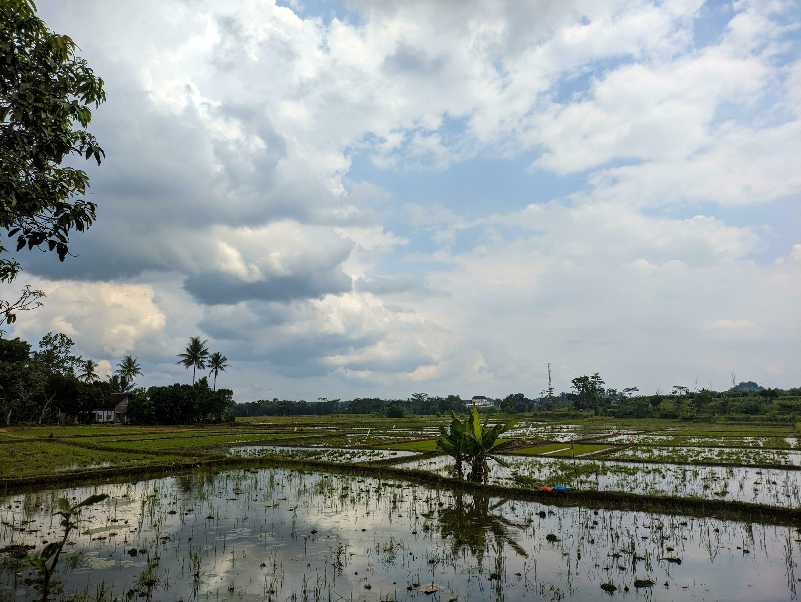 a view of countryside nature in blitar, indonesia Stock Free