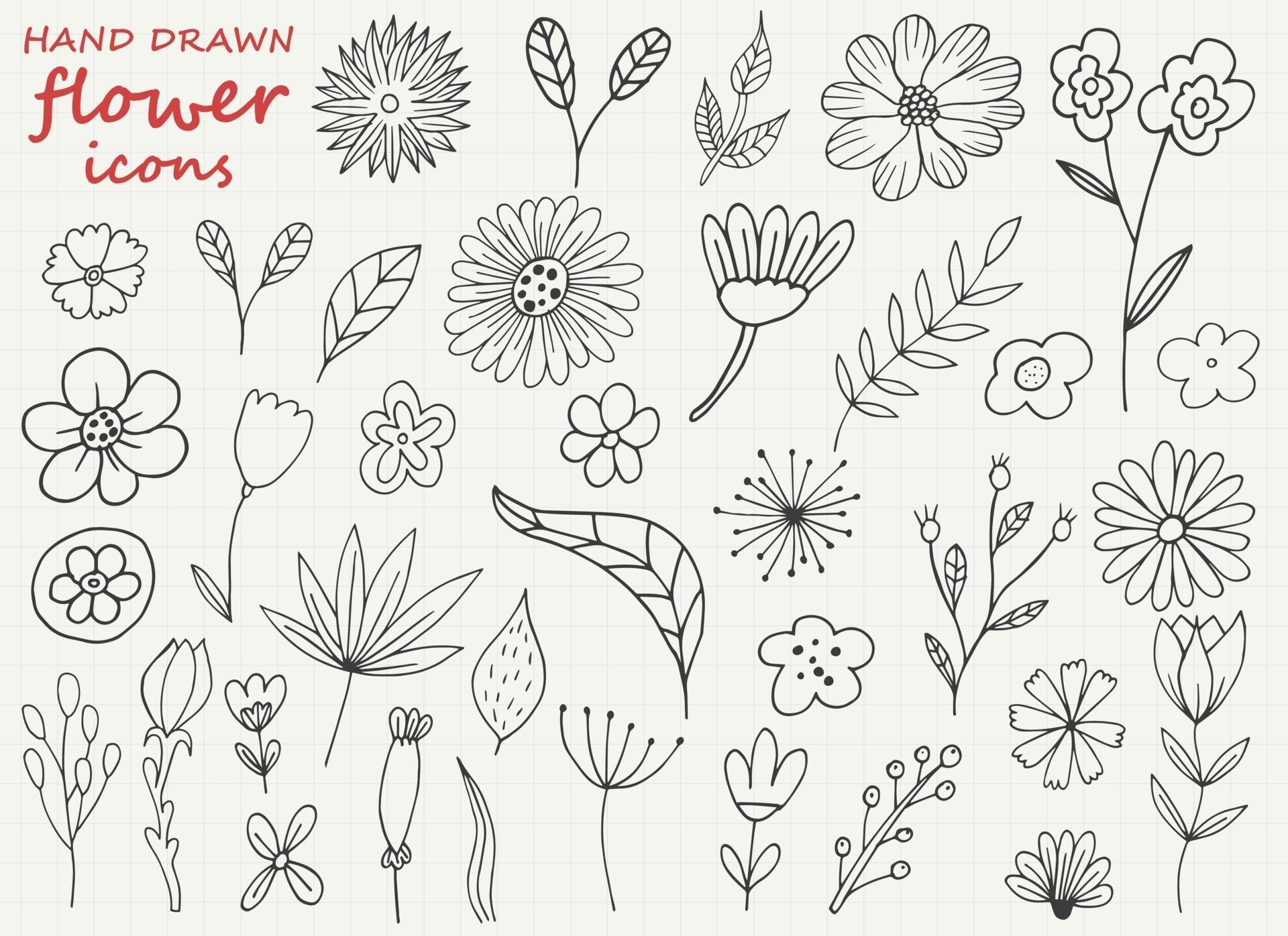 Hand drawn flower vector design illustration isolated on background Stock Free