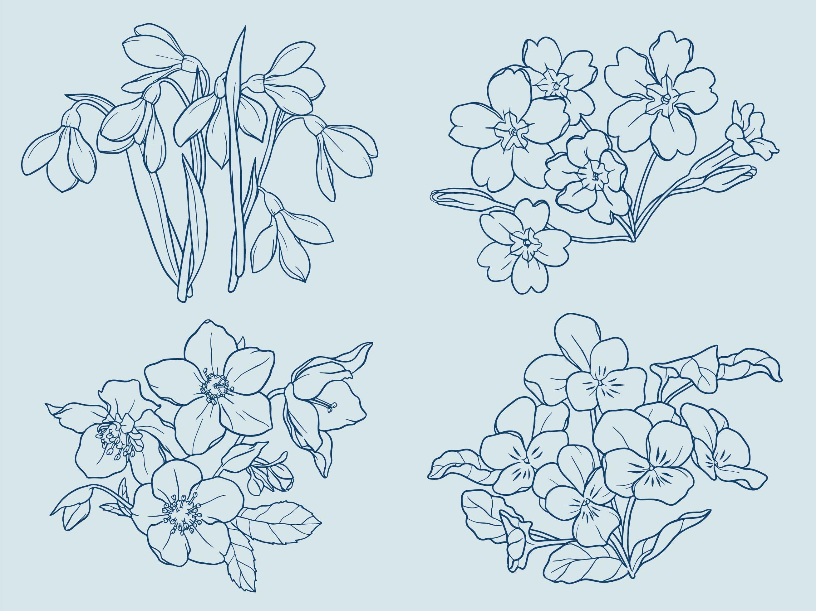 Winter flowers outline Stock Free