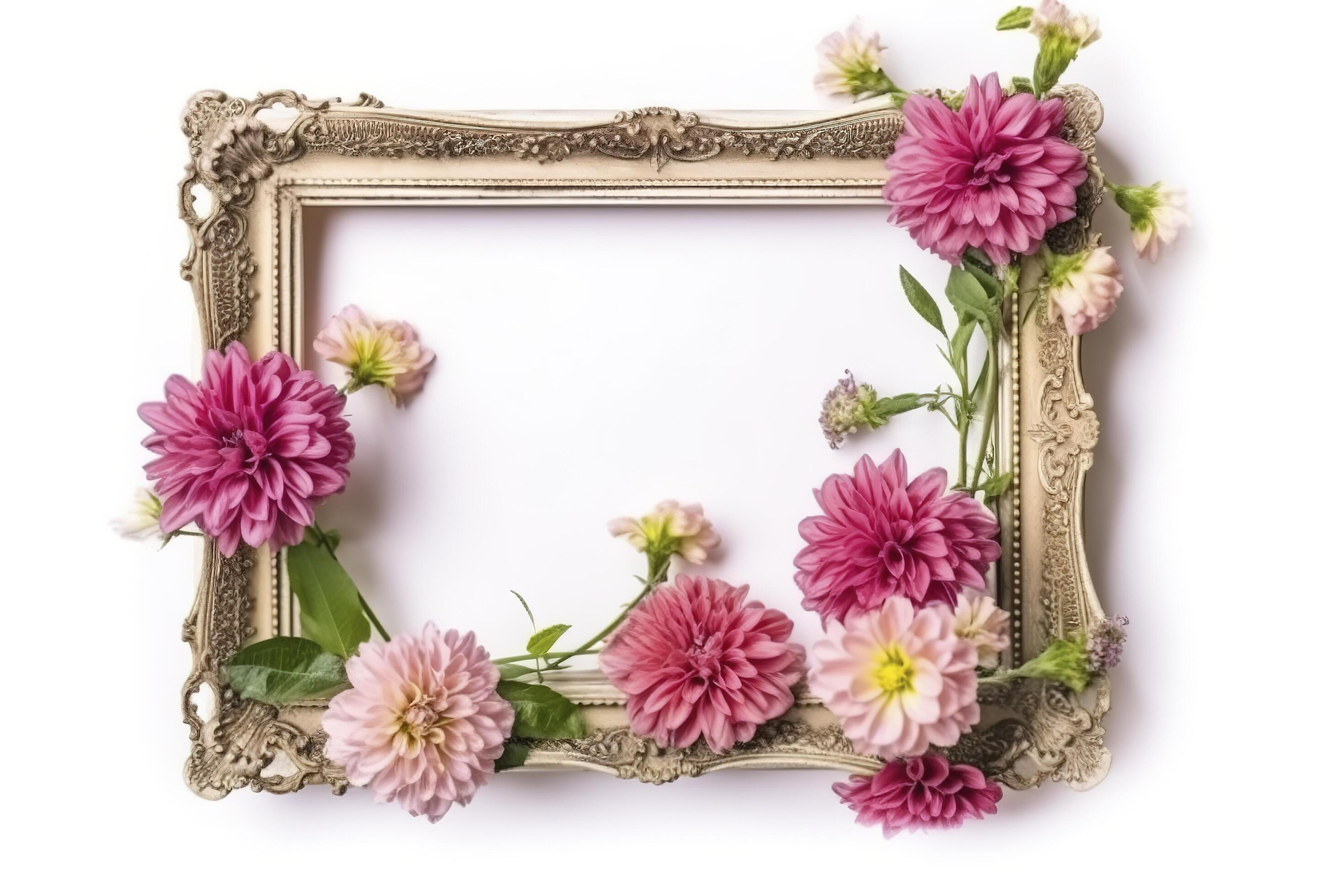 empty frame Vintage Frame With Flower decoration around frame. Stock Free