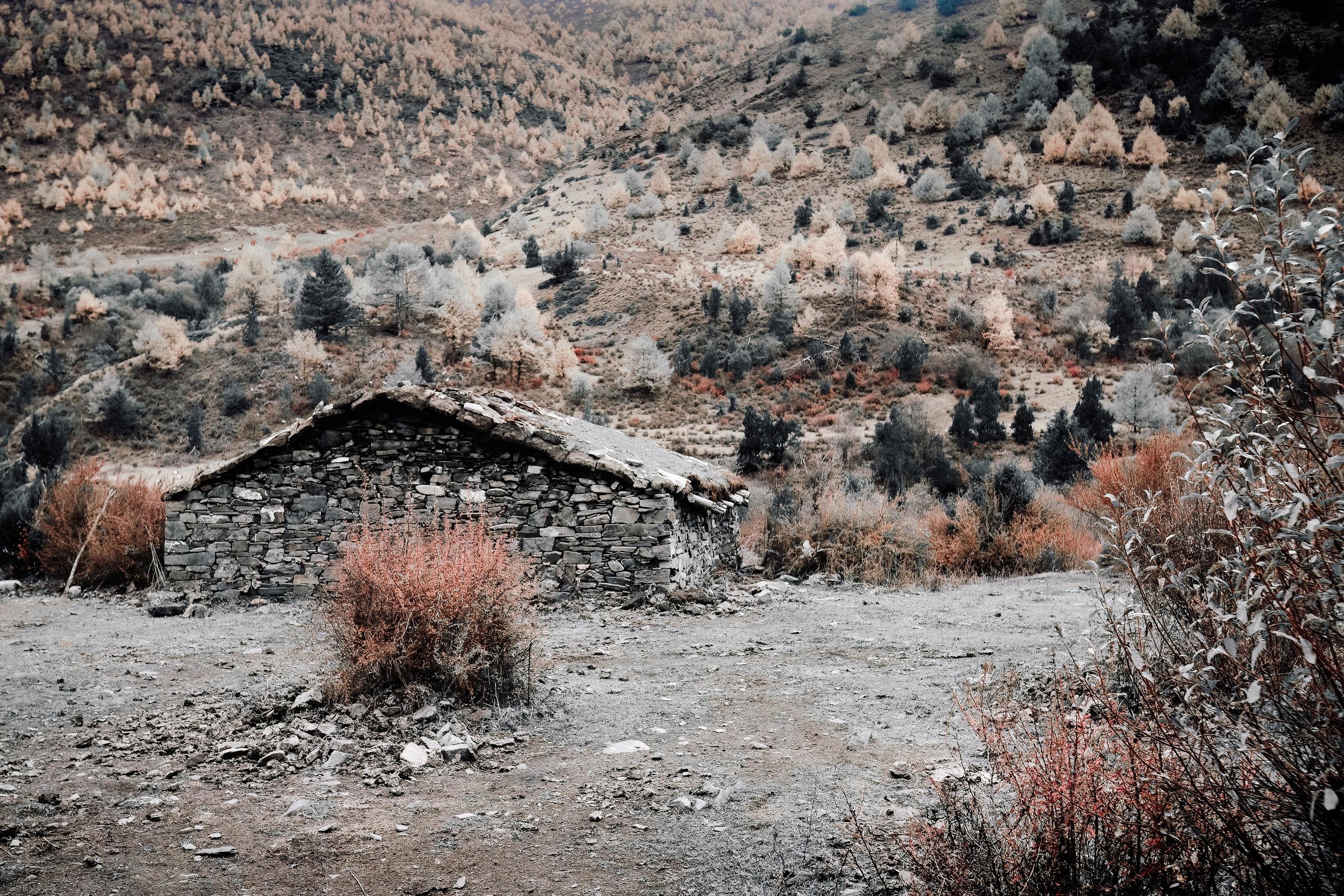 Stone Houses of Alpine Herdsmen in Tibetan Areas of China Stock Free