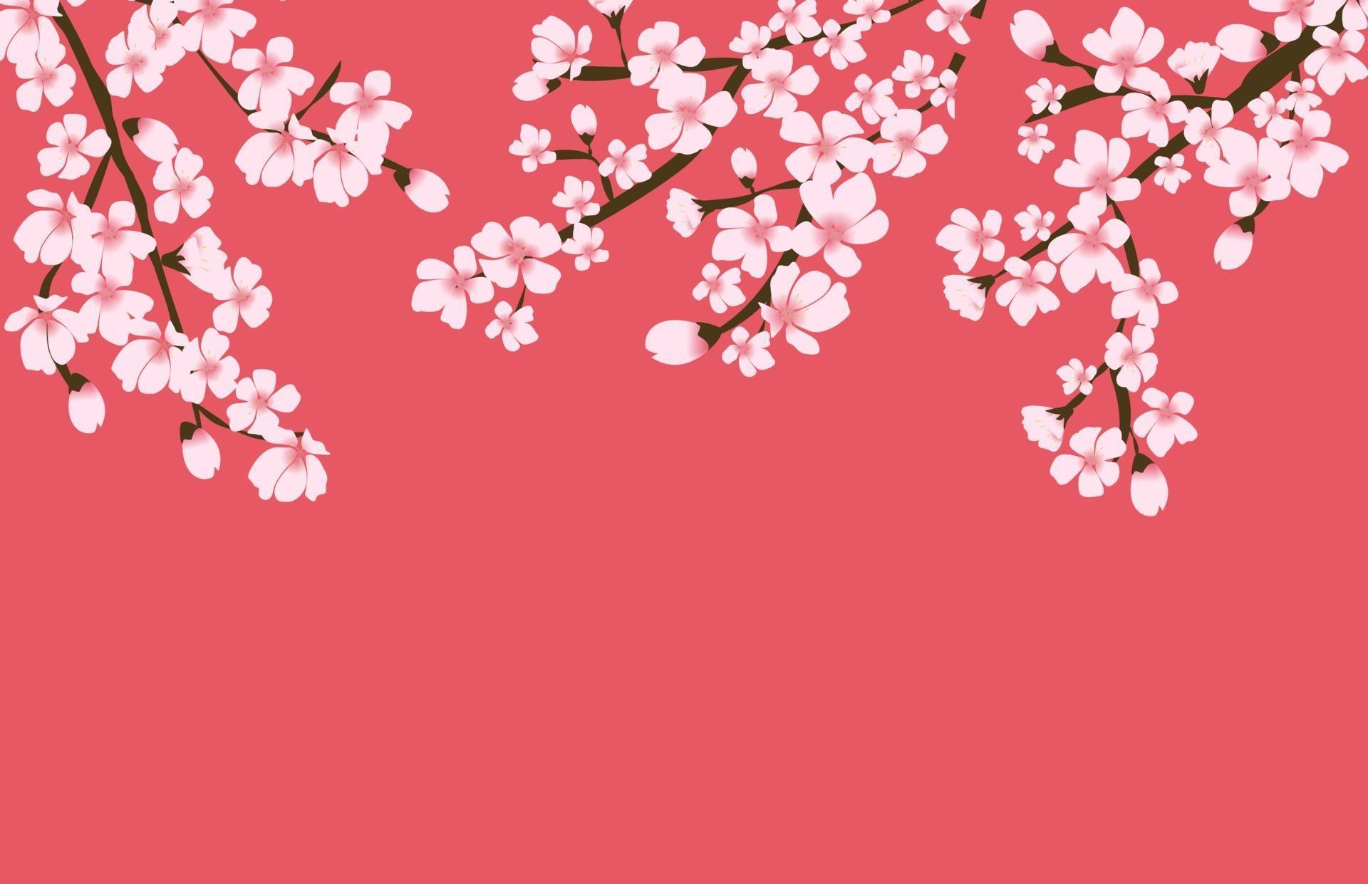 Abstract Floral Sakura Flower Japanese Natural Background Vector Illustration Stock Free