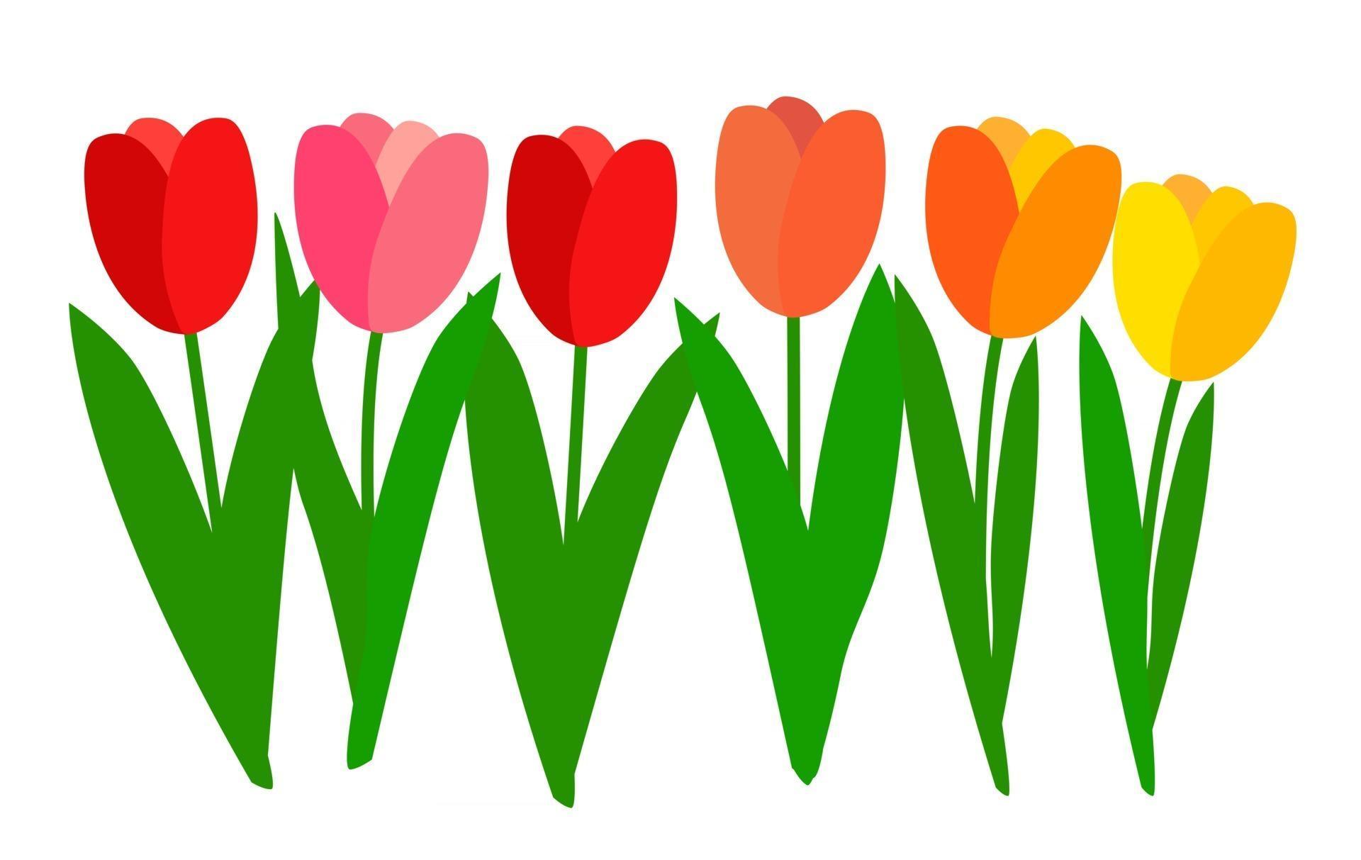 Simple Tulips Flower Stock Free