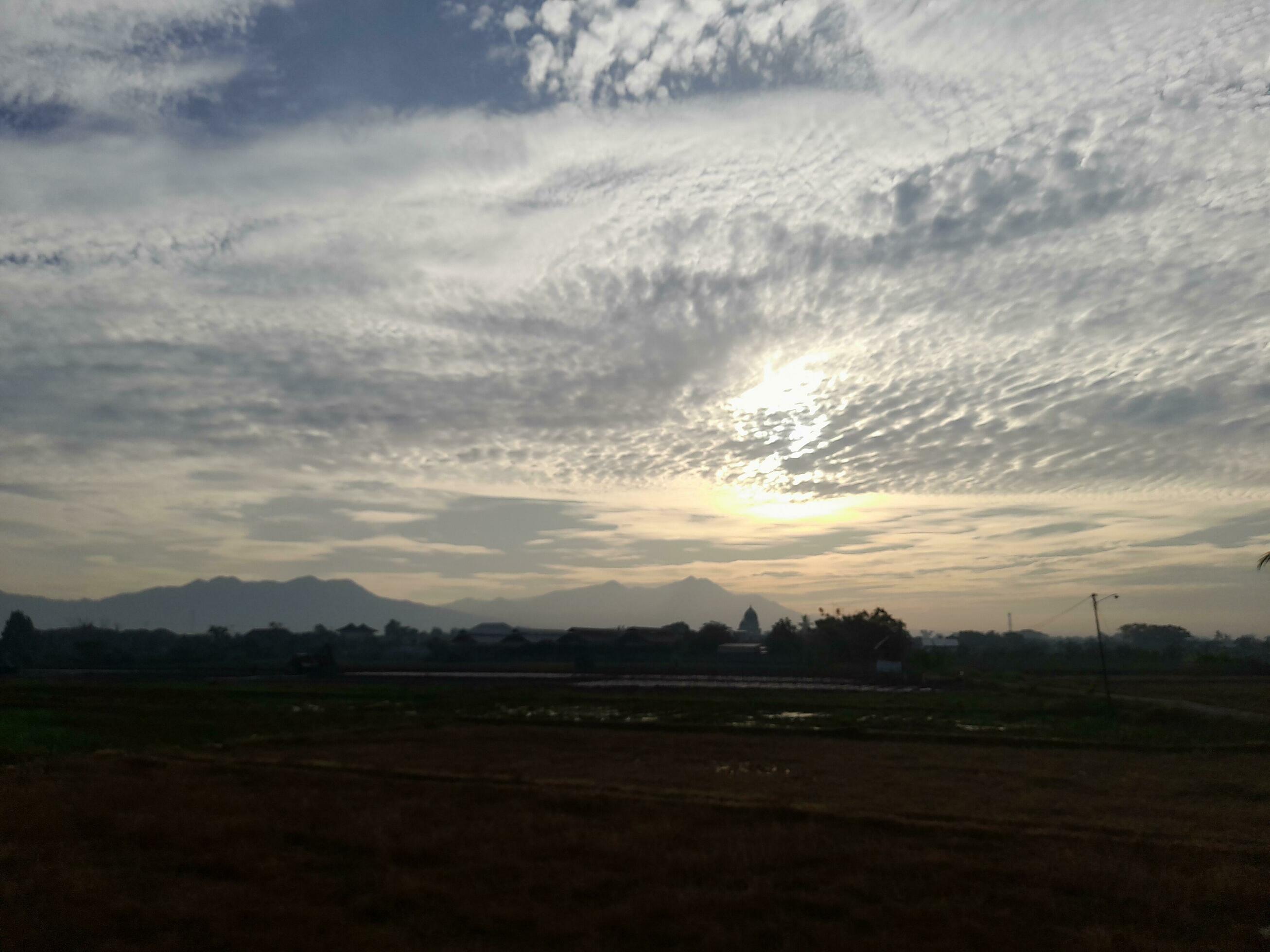 Beautiful view of the sky on the rice paddy field during sunrise in Lombok Island, Indonesia. Nature composition Stock Free