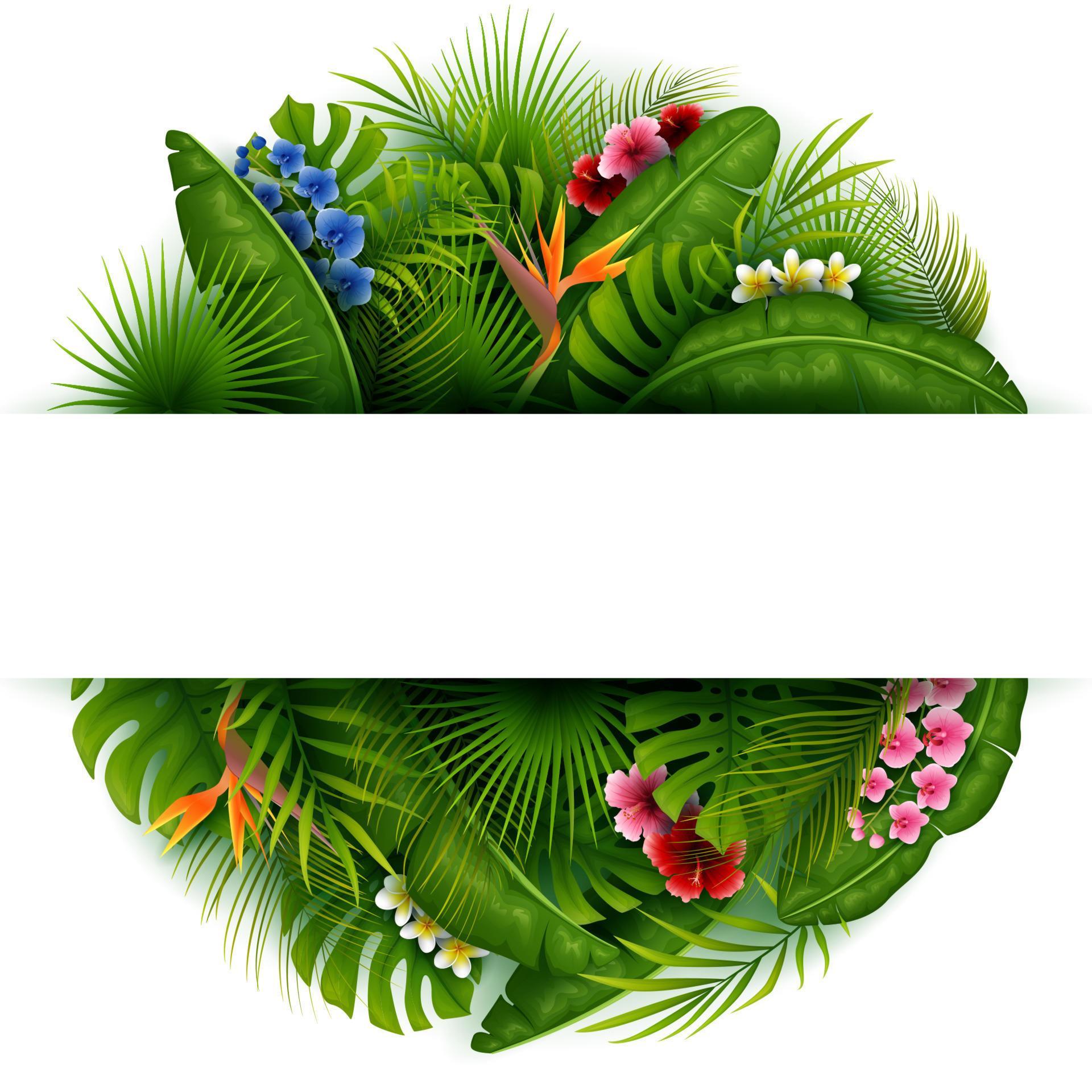 Green summer with tropical leaves and flowers Stock Free