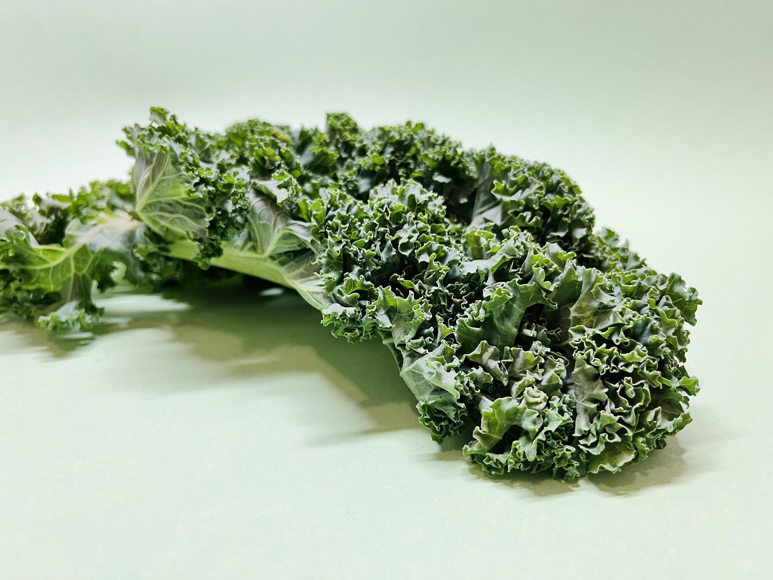 Kale leaf salad vegetable isolated on green background. Creative layout made of kale closeup. Food concept. Stock Free