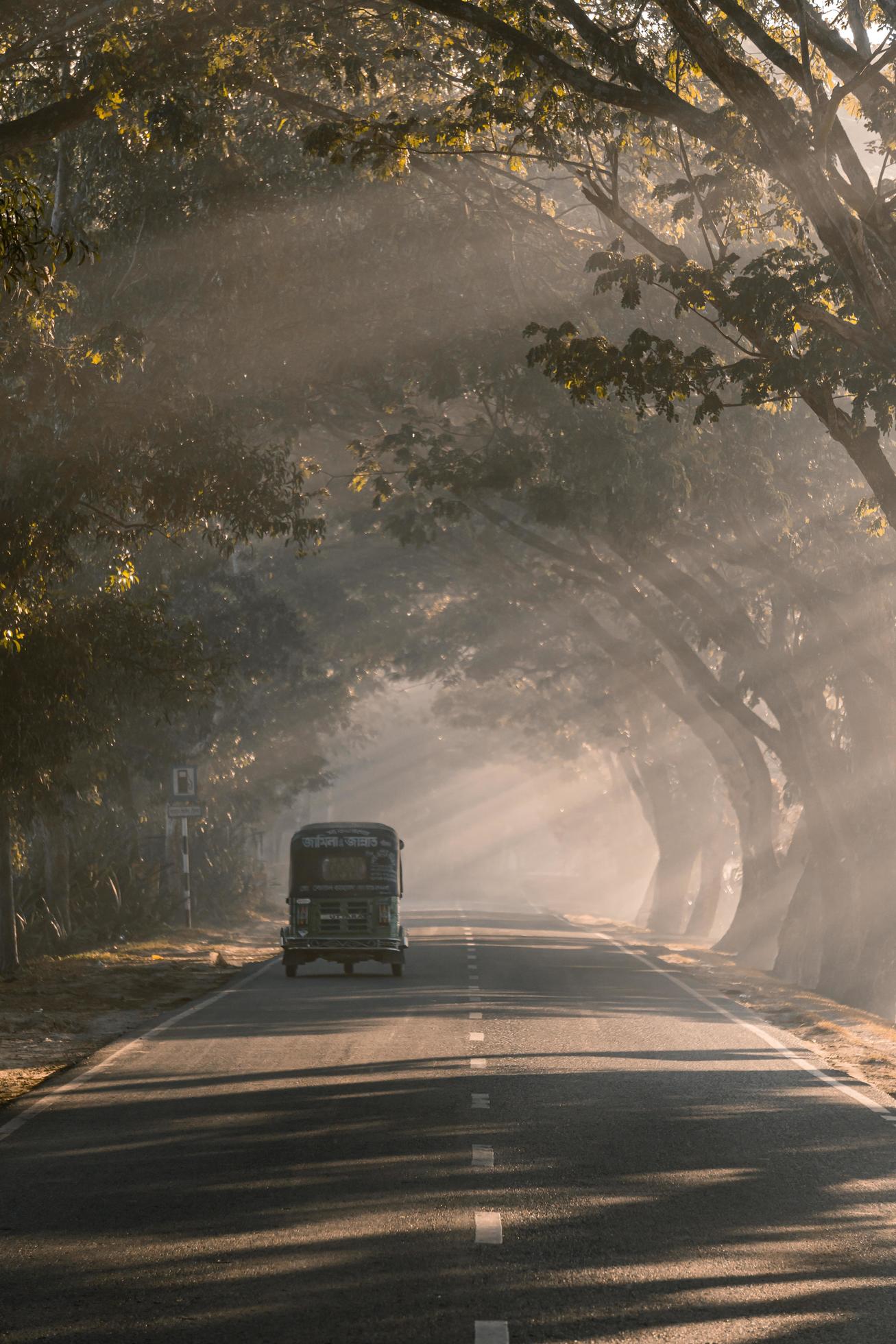 driving through the foggy road Stock Free