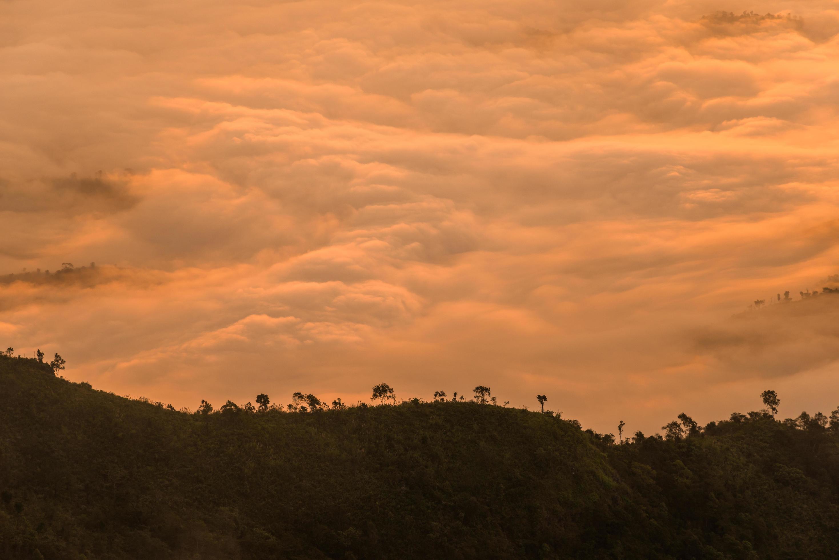 The beautiful sea mist cover the highland mountains named Phu Chi Dao located in Chiang Rai province in the northern region of Thailand. Stock Free