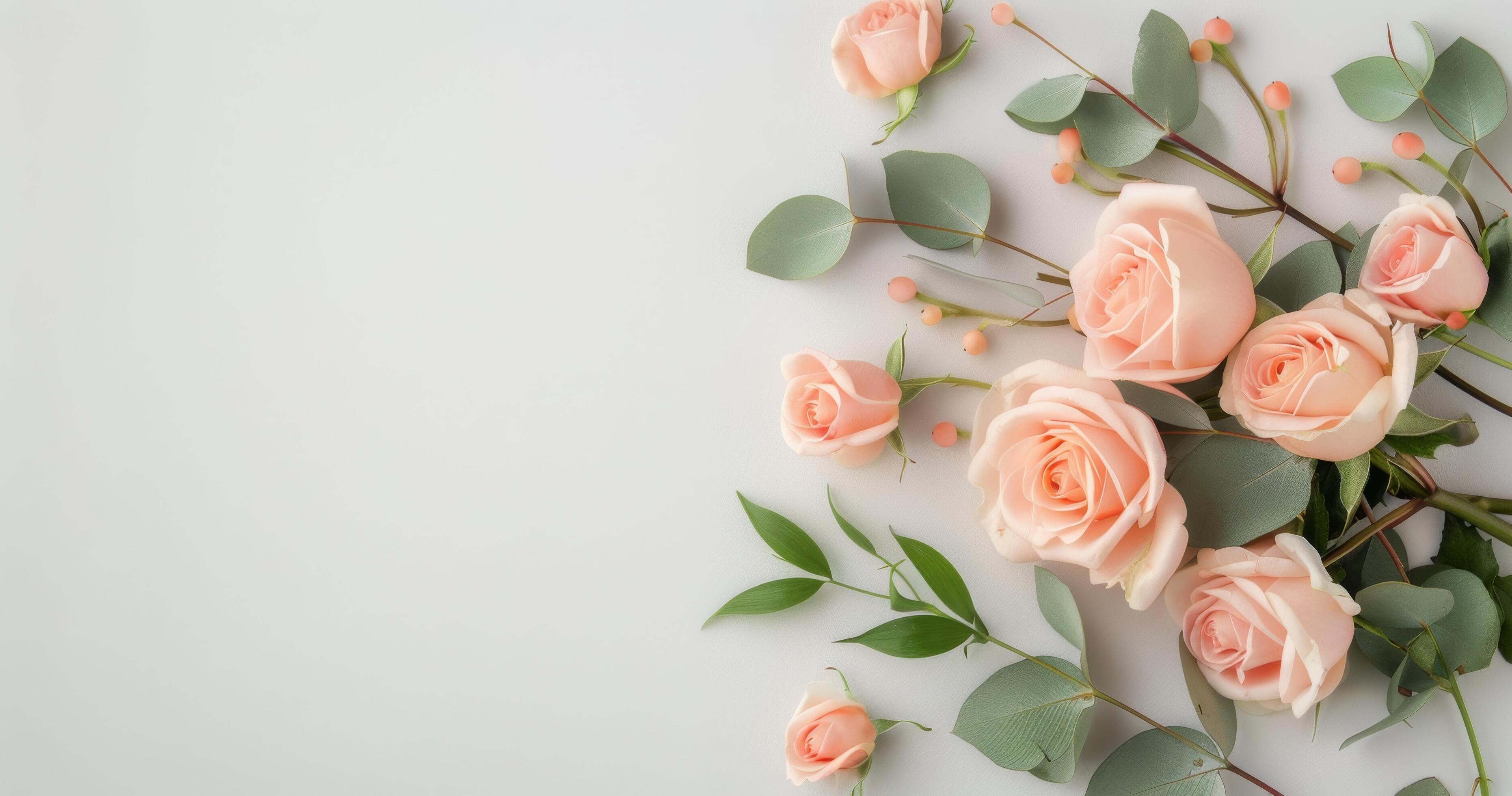 Pink Roses and Greenery on White Background Stock Free