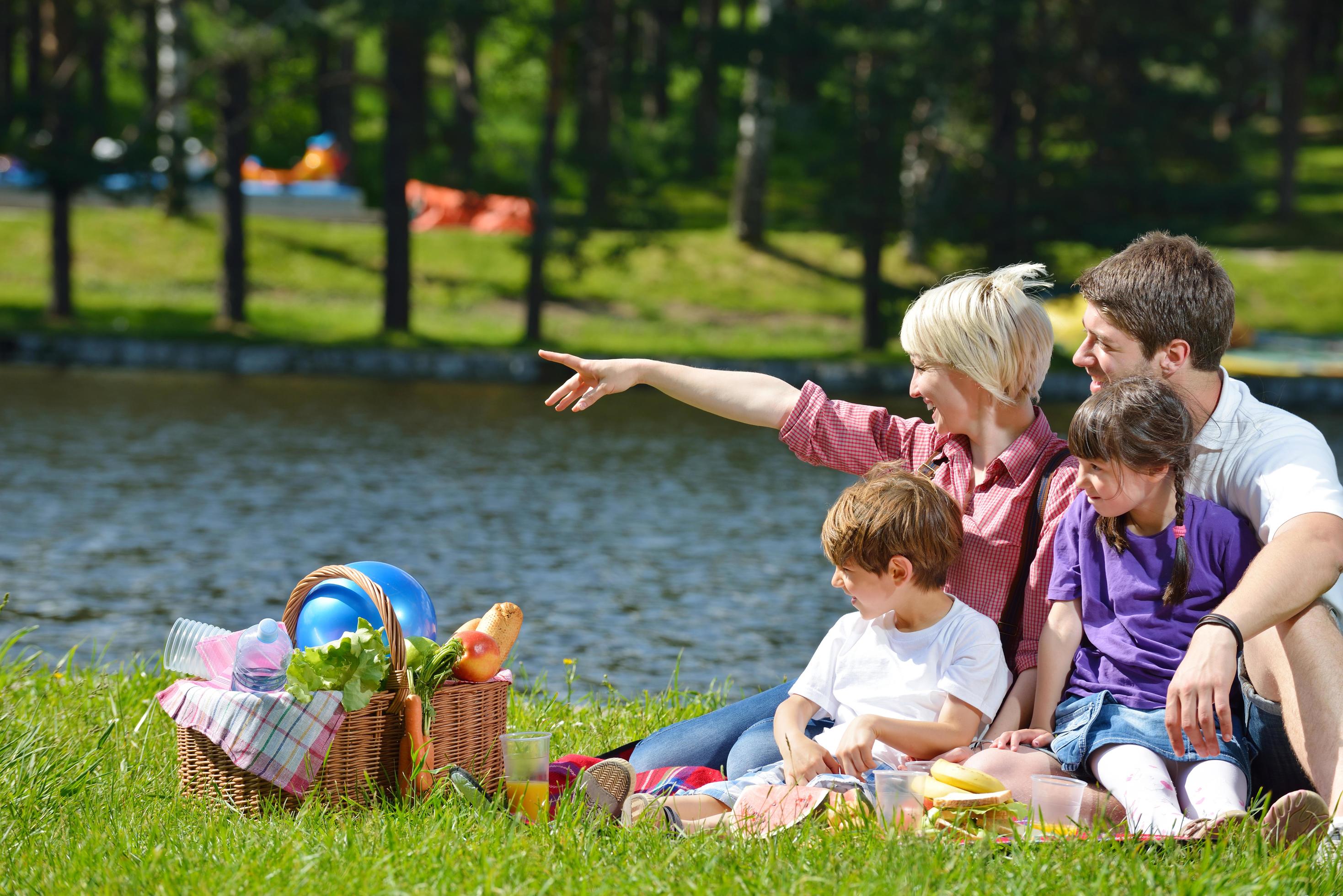 Happy family playing together in a picnic outdoors Stock Free