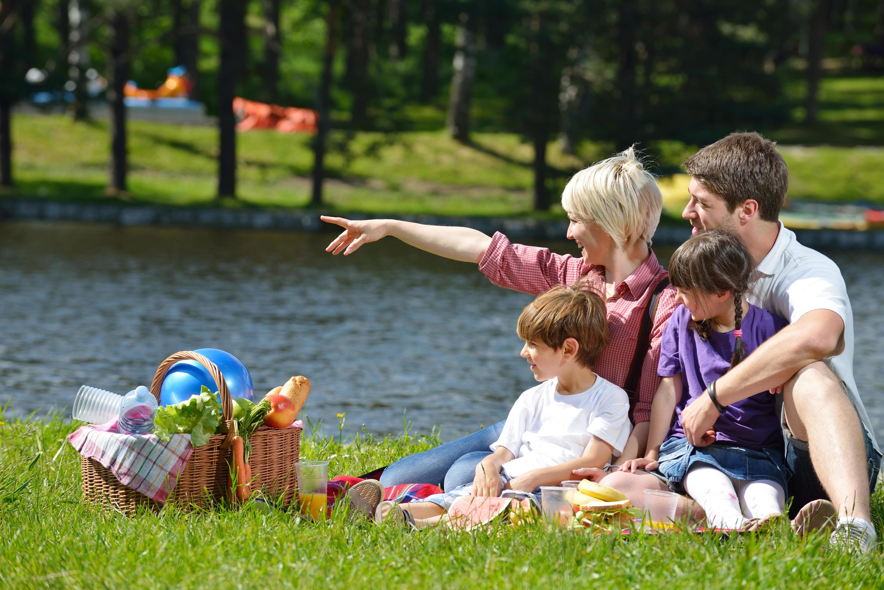 Happy family playing together in a picnic outdoors Stock Free