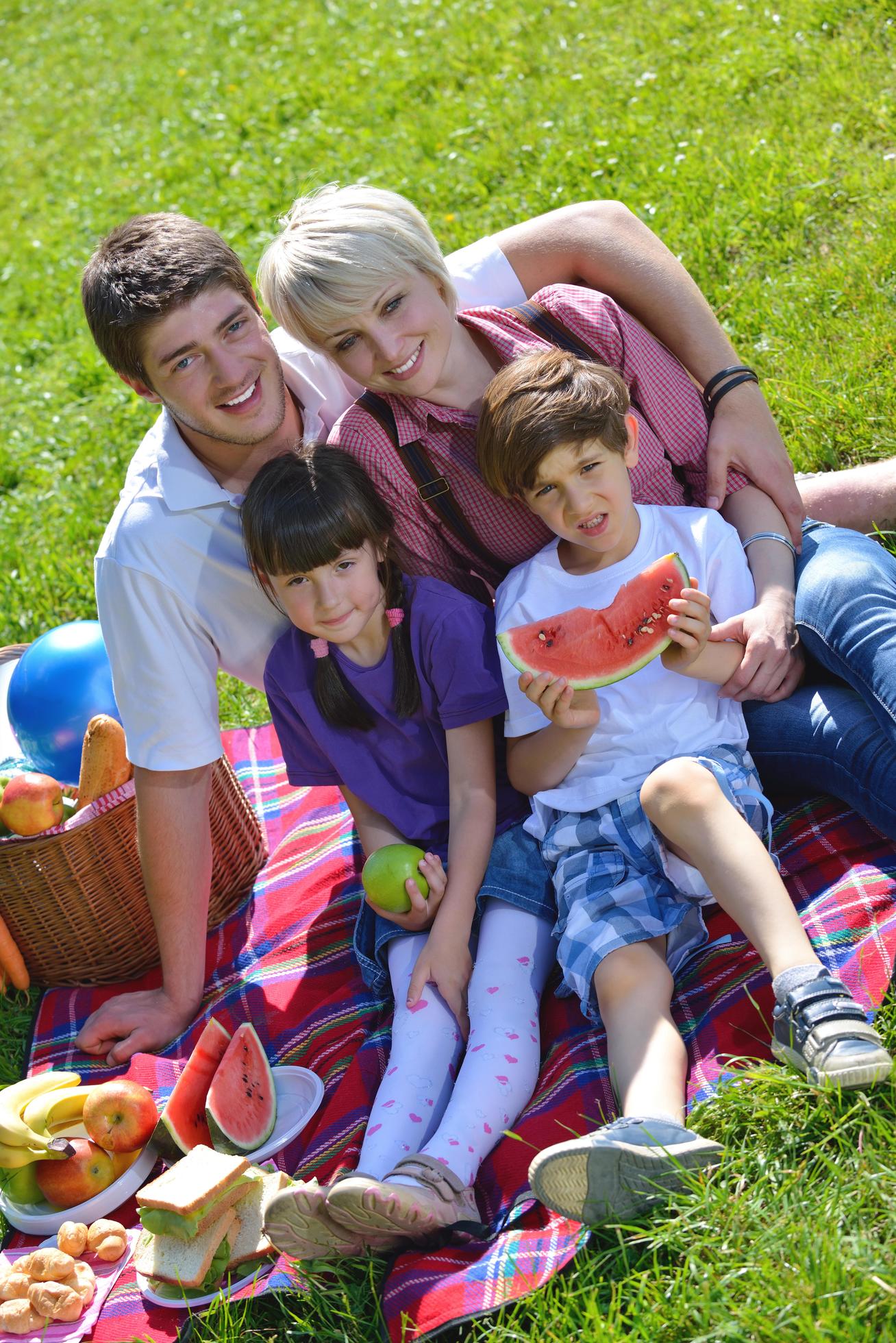 Happy family playing together in a picnic outdoors Stock Free