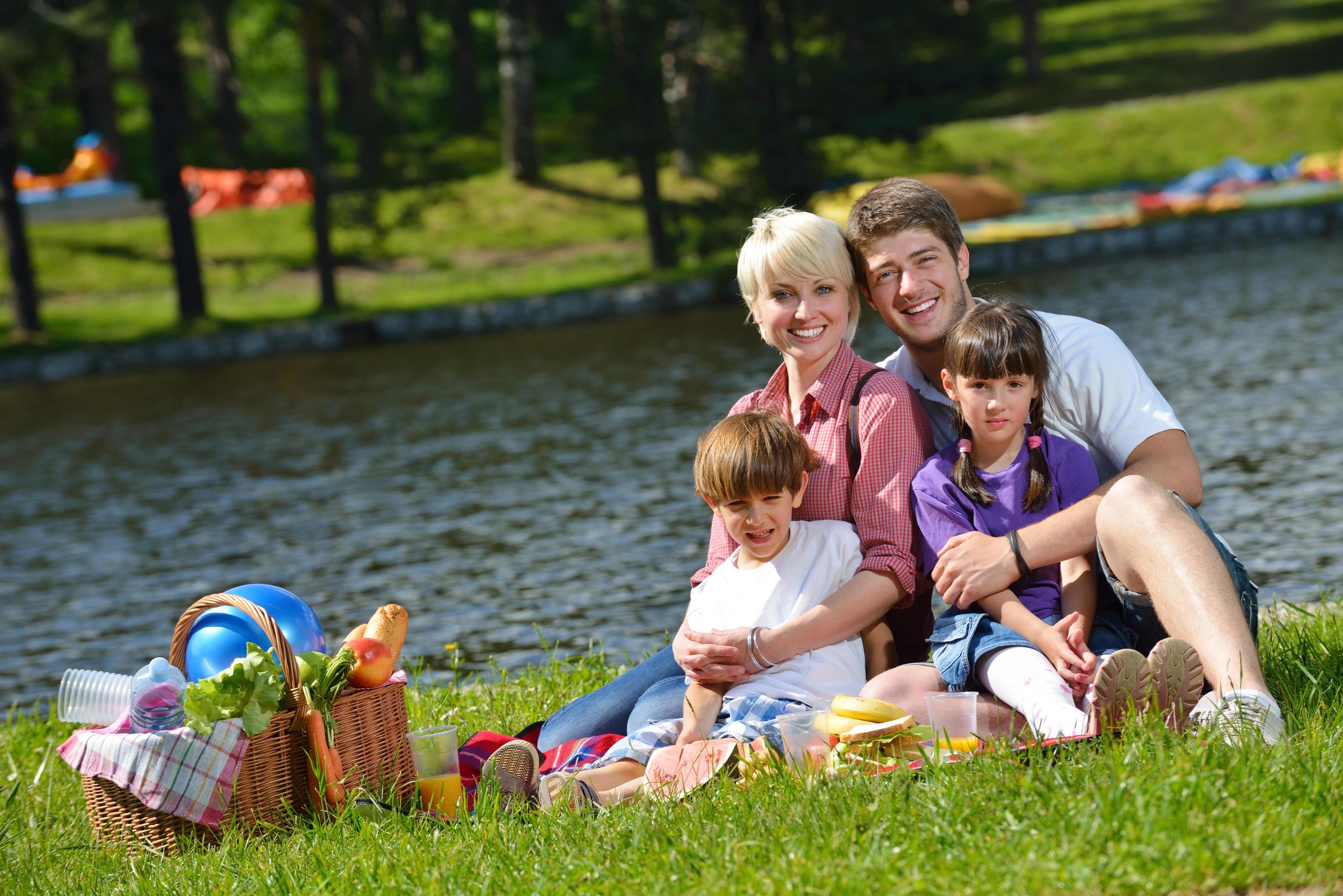 Happy family playing together in a picnic outdoors Stock Free