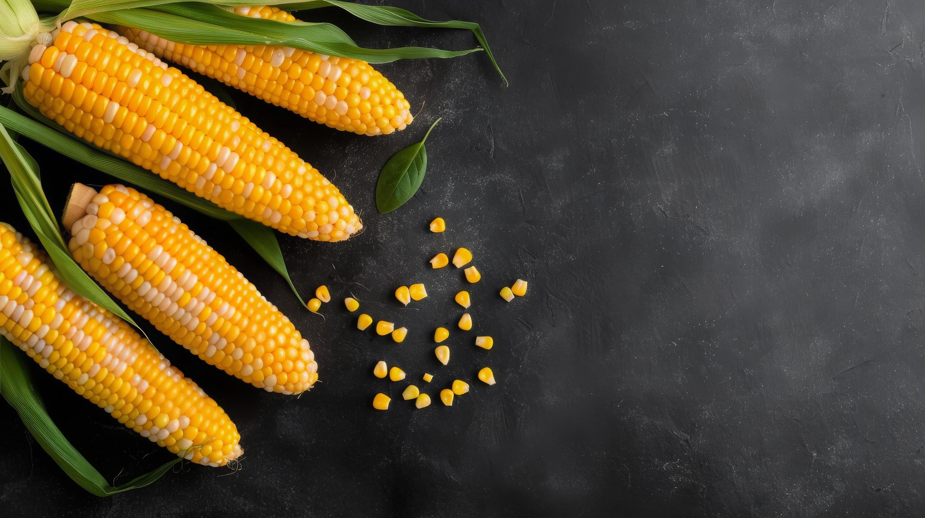 Three Ears Of Corn On A Black Background Stock Free