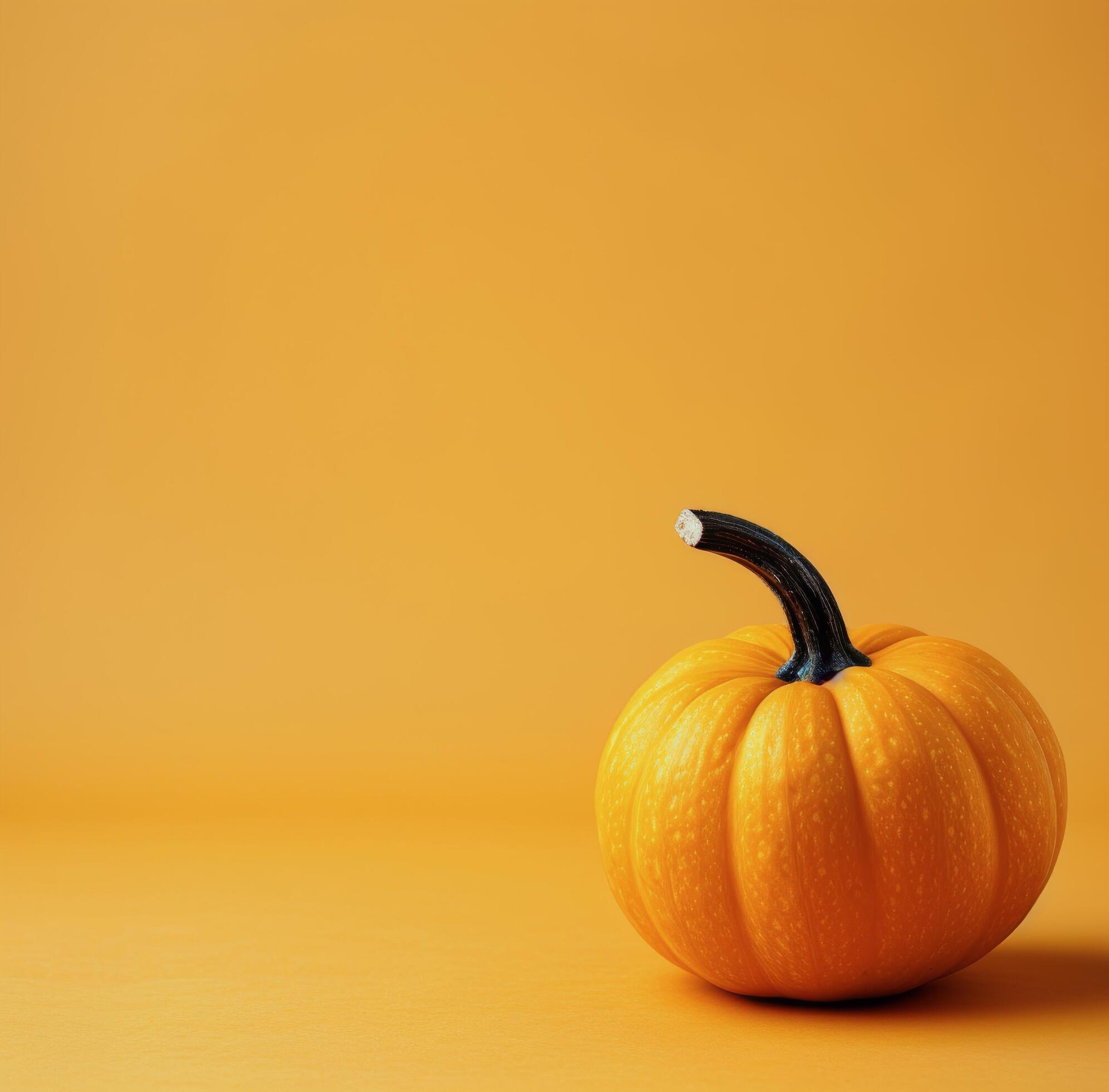 Single Pumpkin on White Table Against Orange Background Stock Free