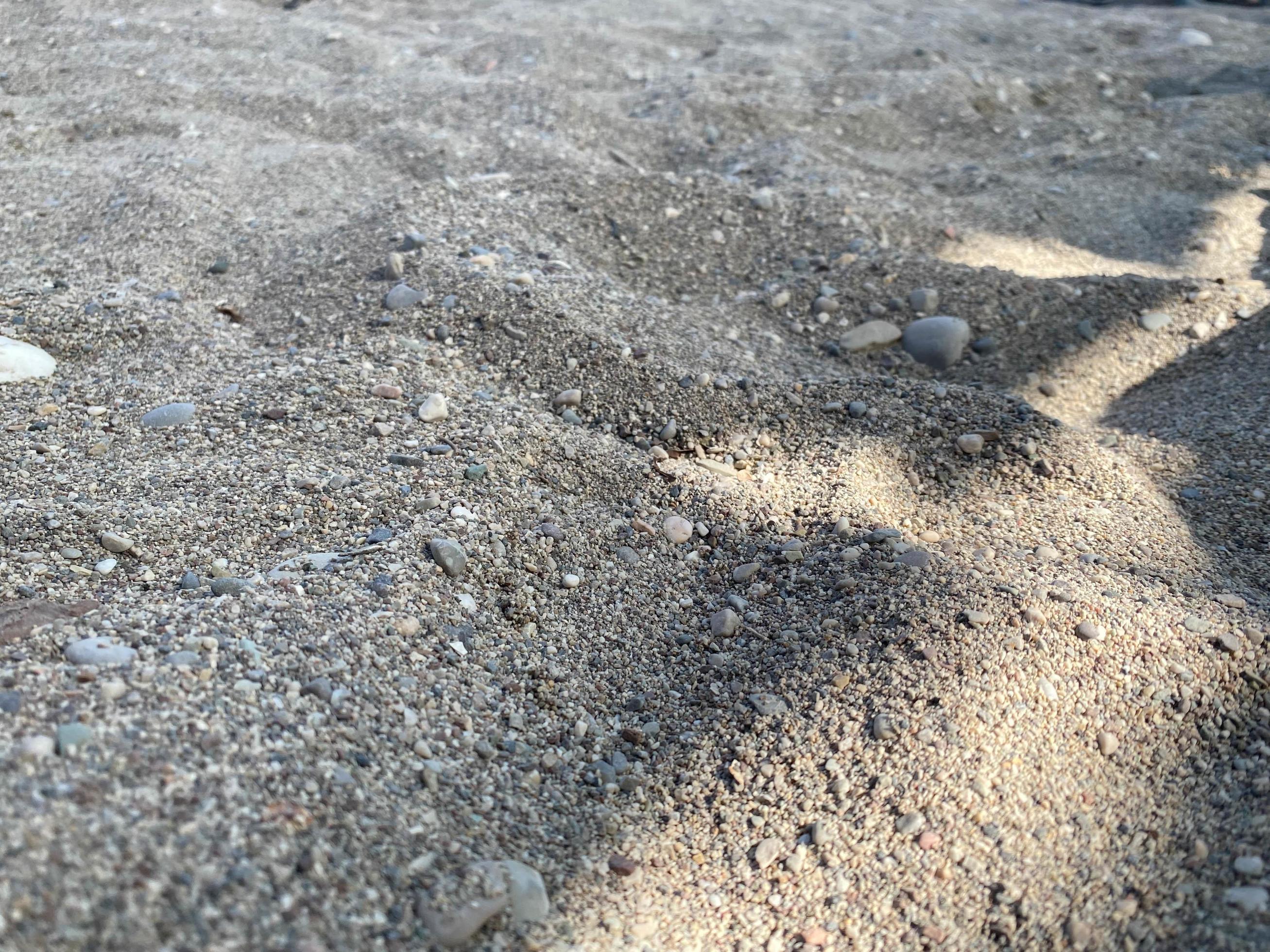 Sand background with small shells. Top view of the sandy beach. The texture of the sand. Light beige shade. The natural background Stock Free