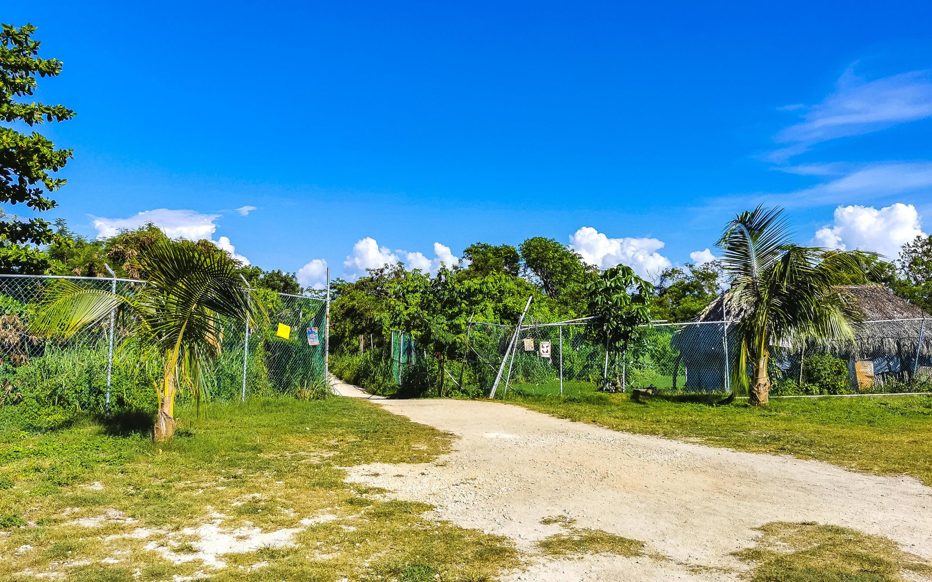 Entrance path of tropical beach between natural huts in Mexico. Stock Free