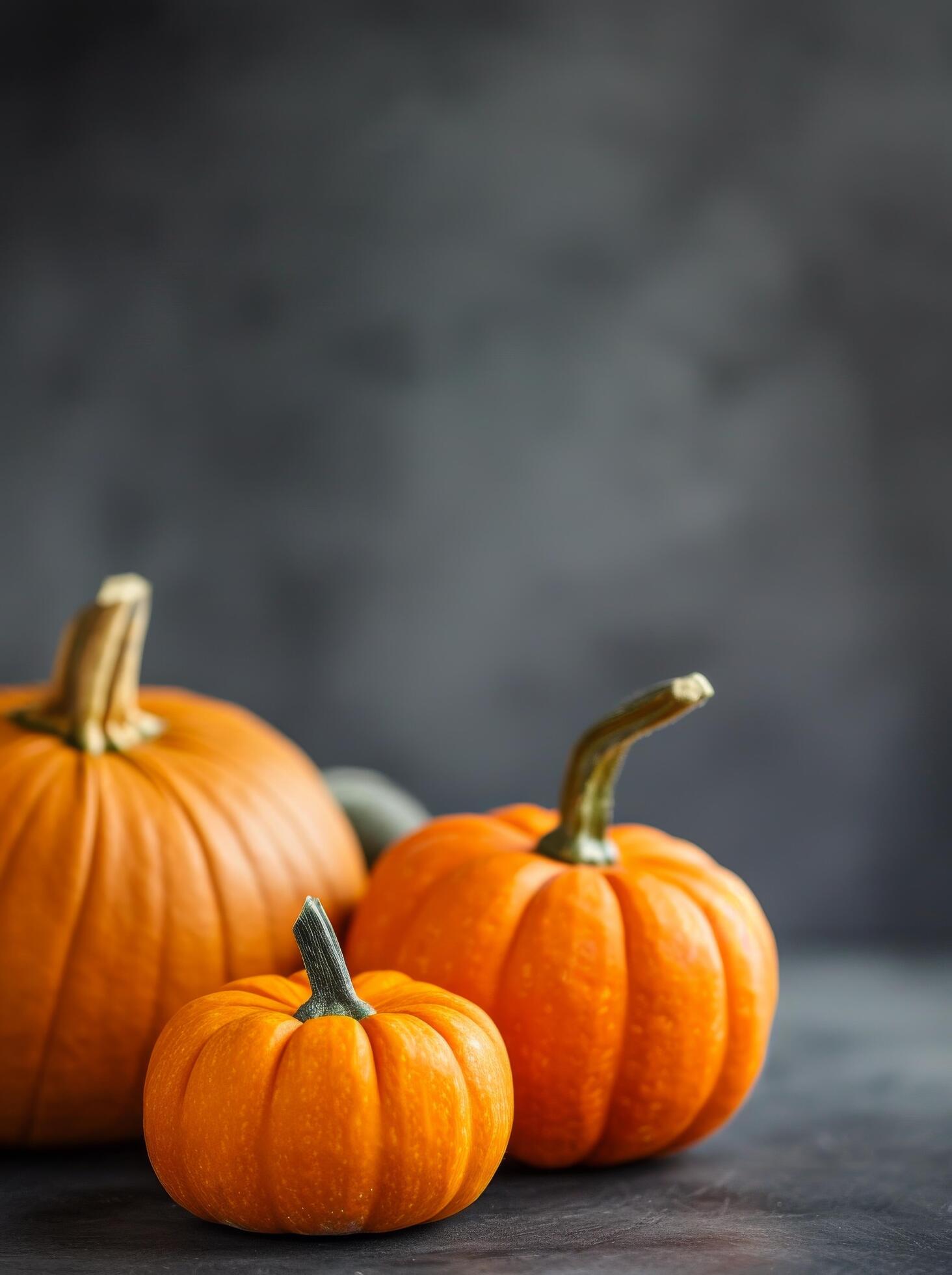 Autumn Pumpkins Against Grey Background Stock Free