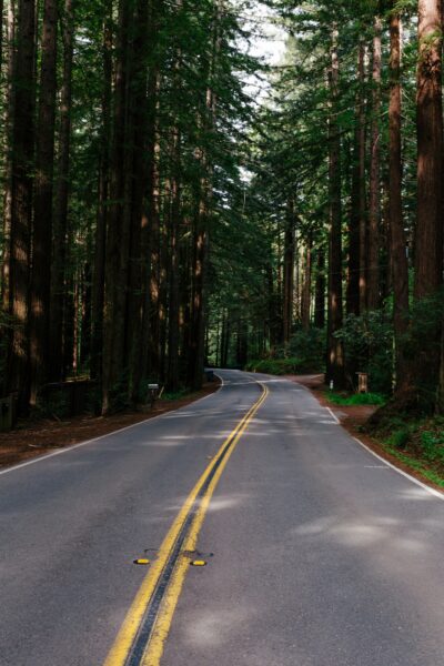 Empty Rural Road Free Stock HD Photo