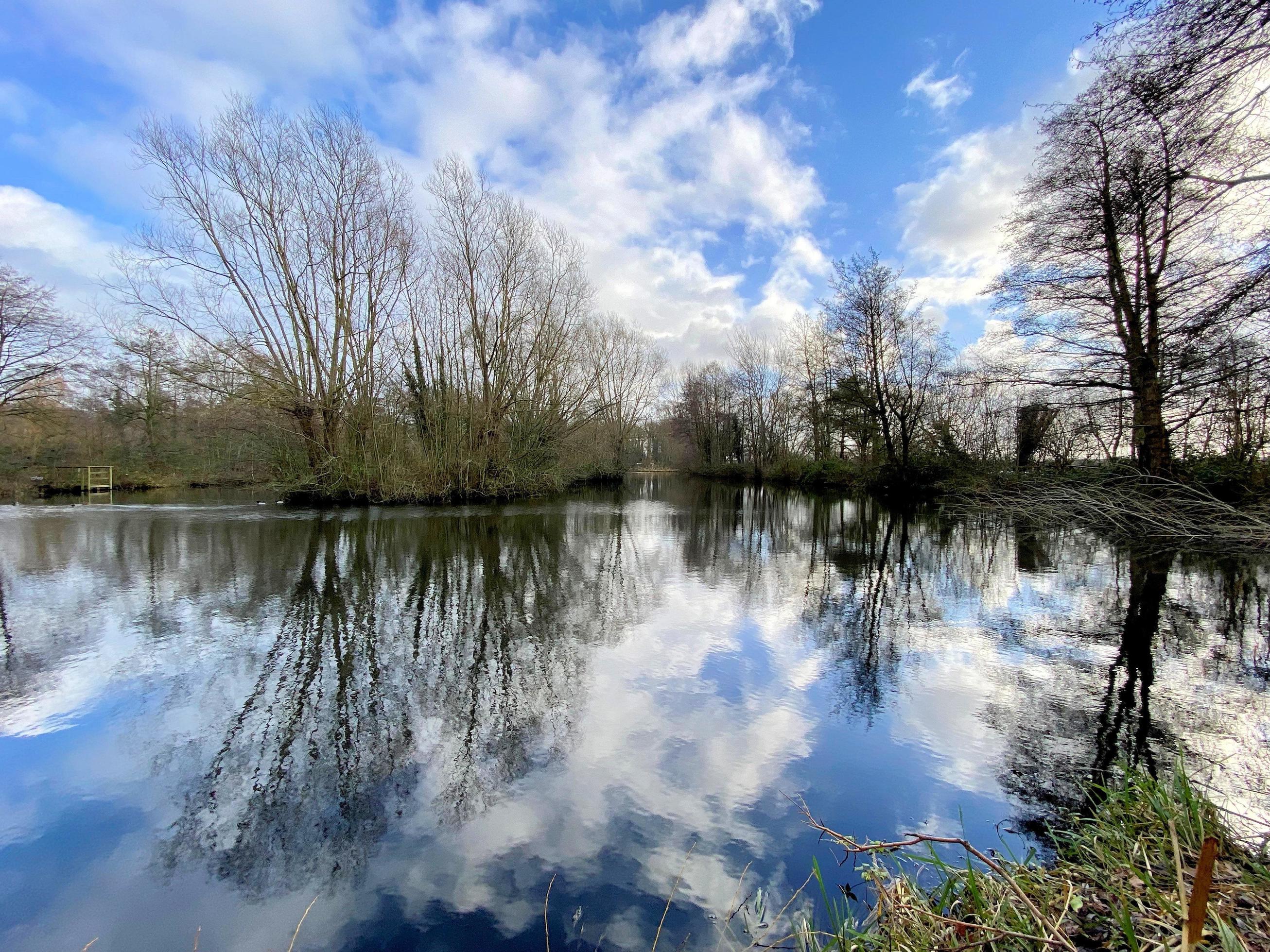 A view of Burton Mere Wetlands Nature Reserve Stock Free