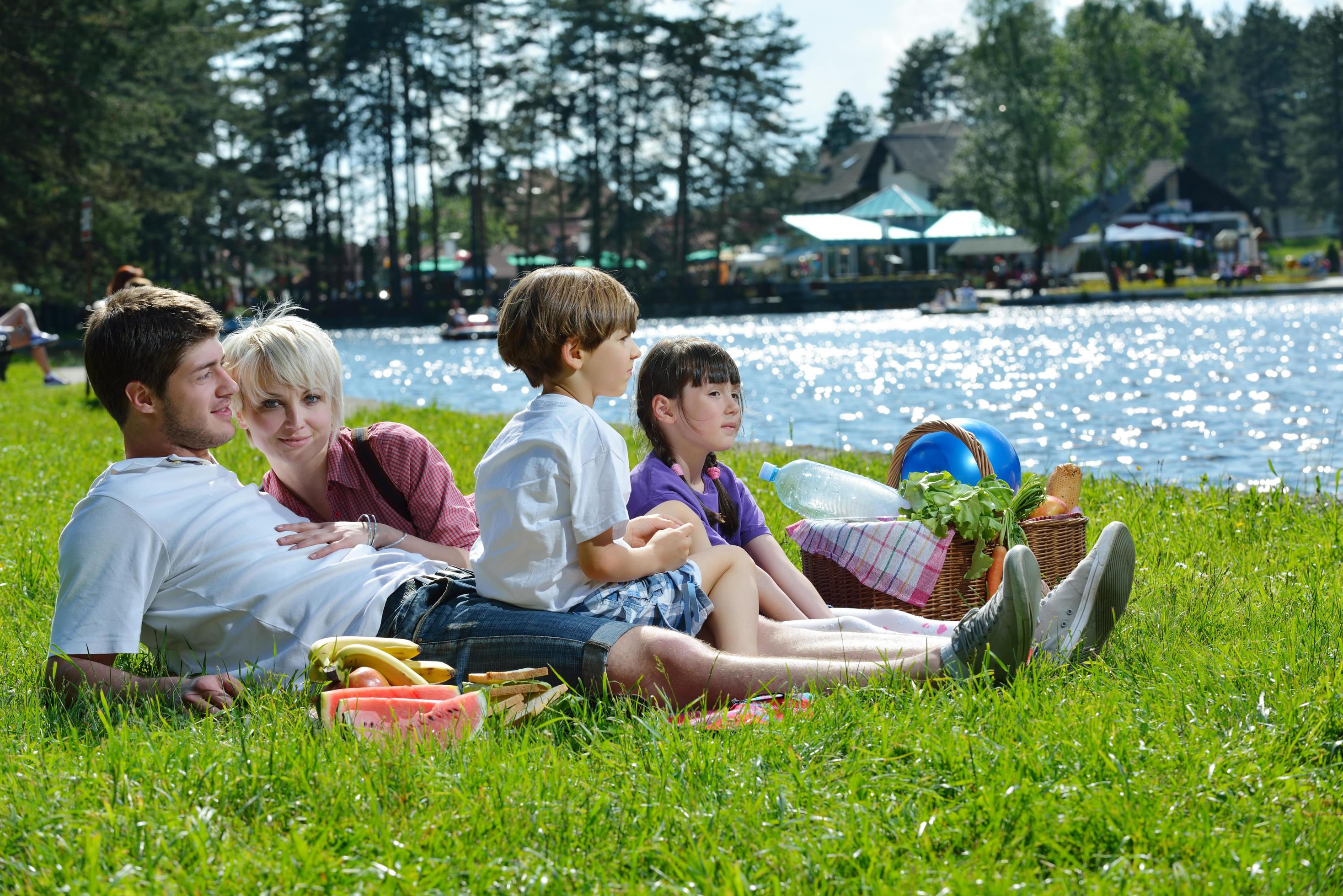 Happy family playing together in a picnic outdoors Stock Free