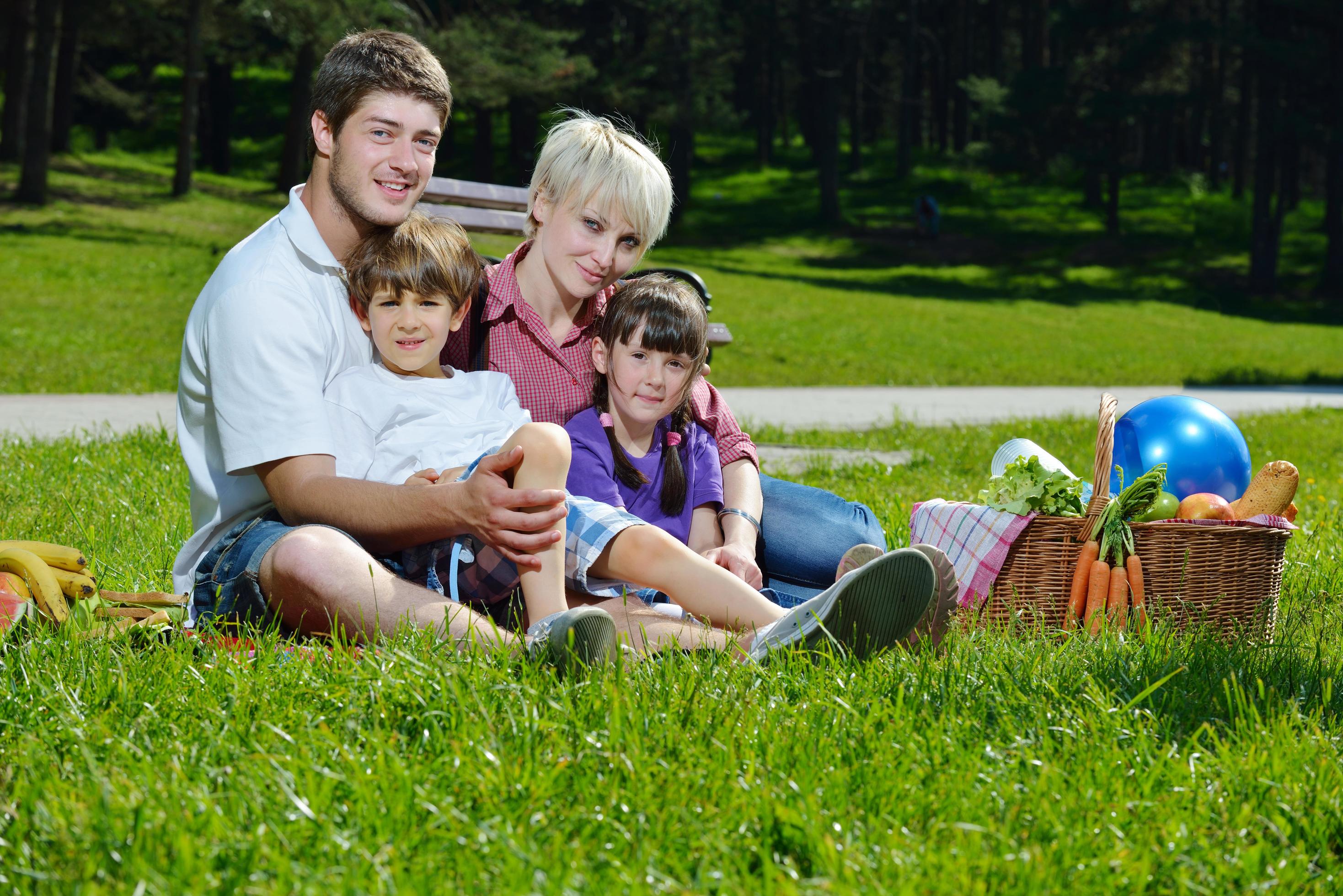 Happy family playing together in a picnic outdoors Stock Free