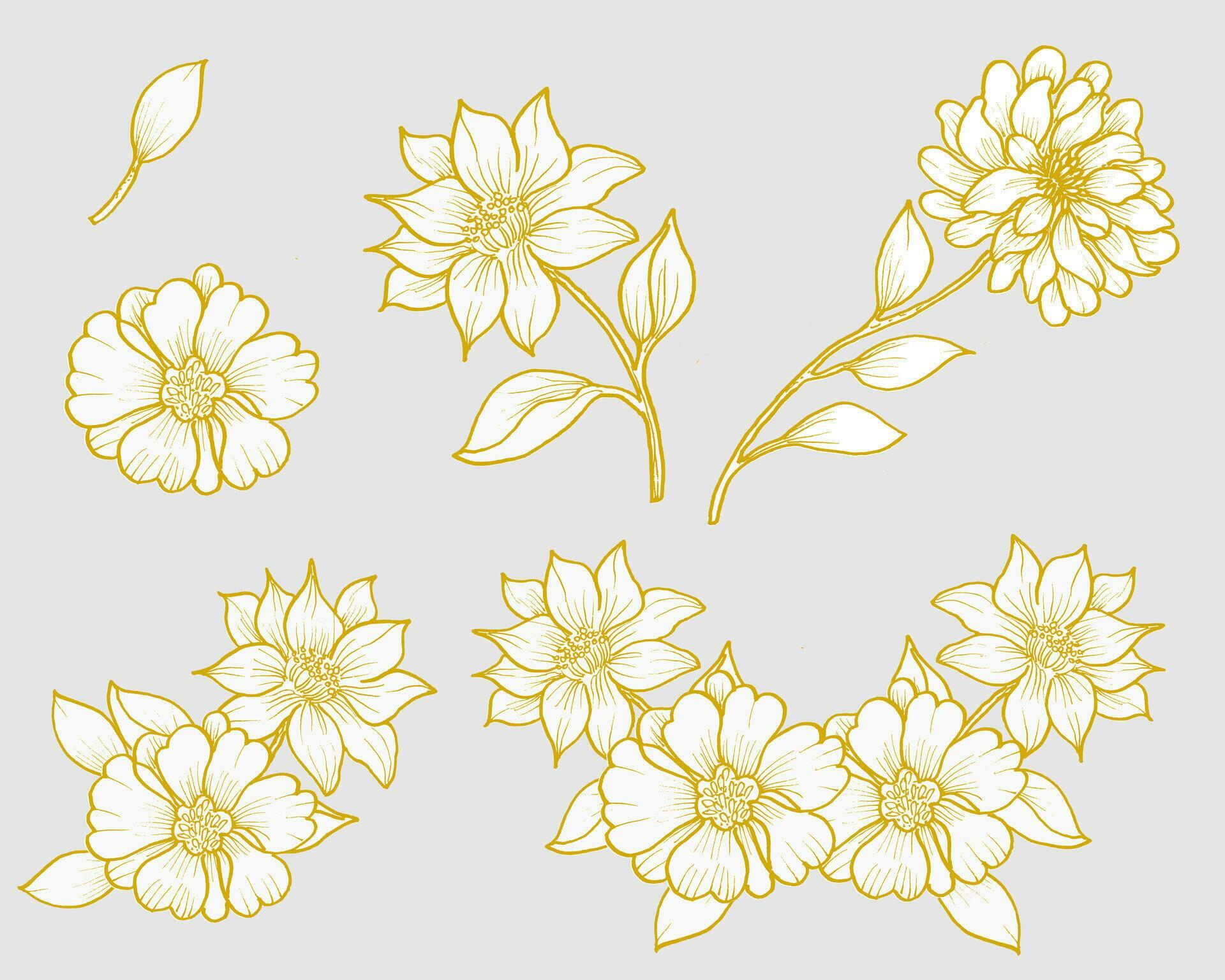 Hand Drawn Gold Dahlia Flower Stock Free and Free SVG