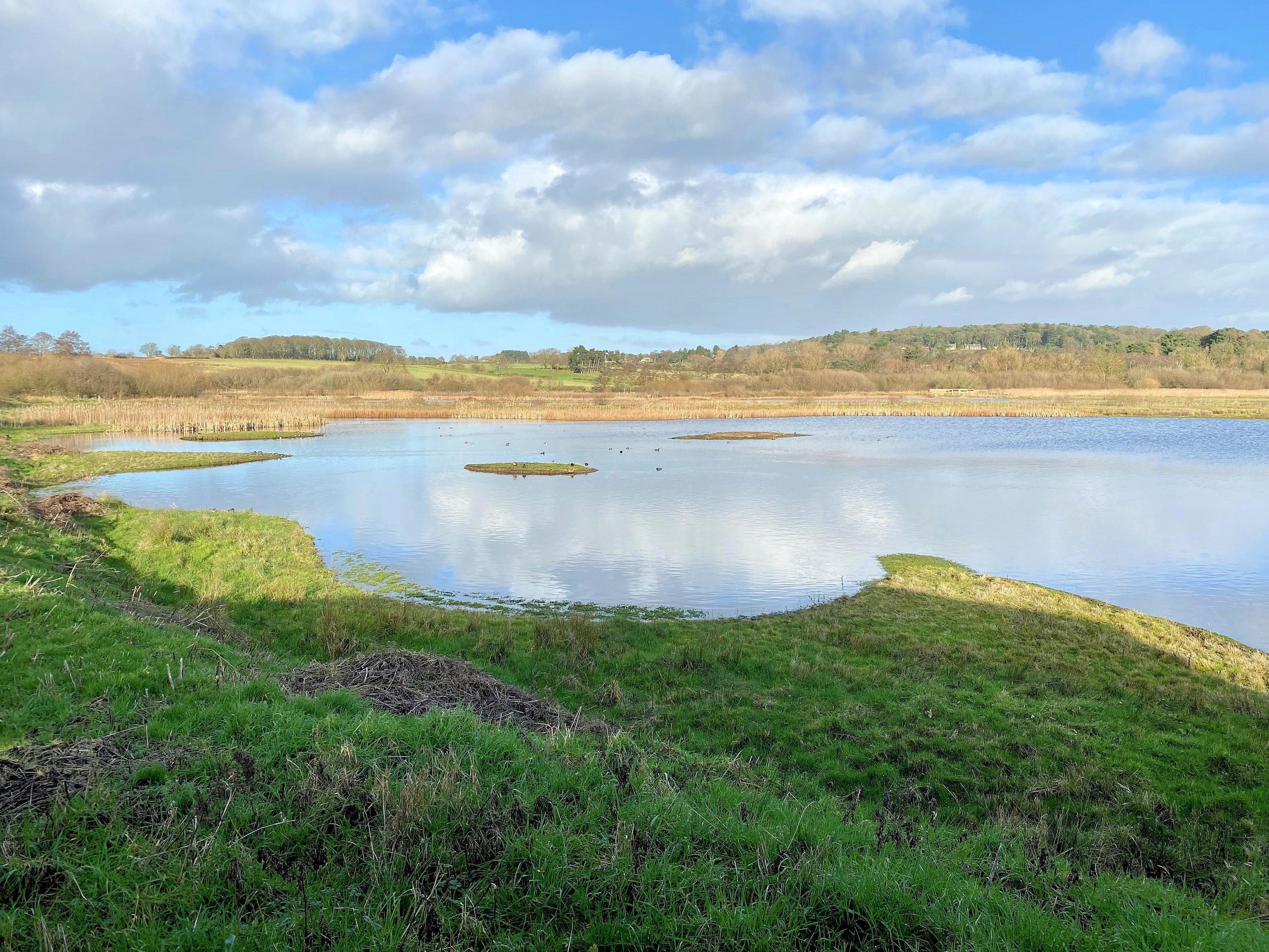 A view of Burton Mere Wetlands Nature Reserve Stock Free