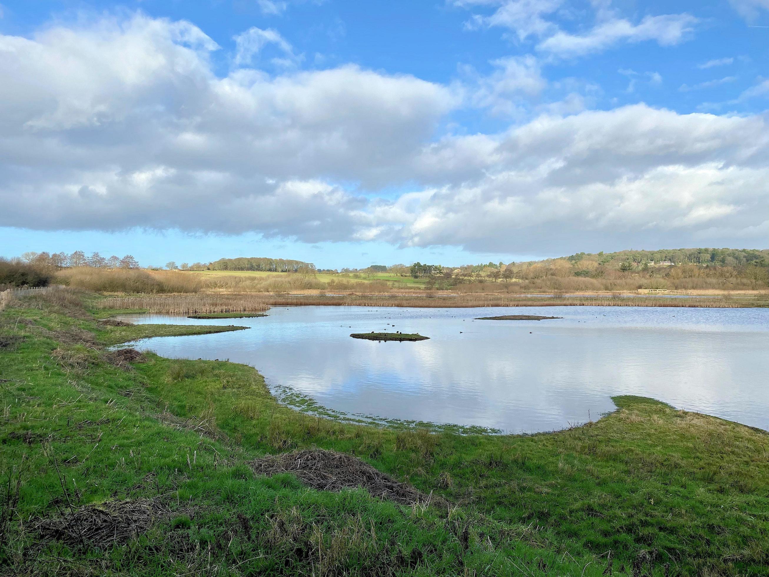 A view of Burton Mere Wetlands Nature Reserve Stock Free