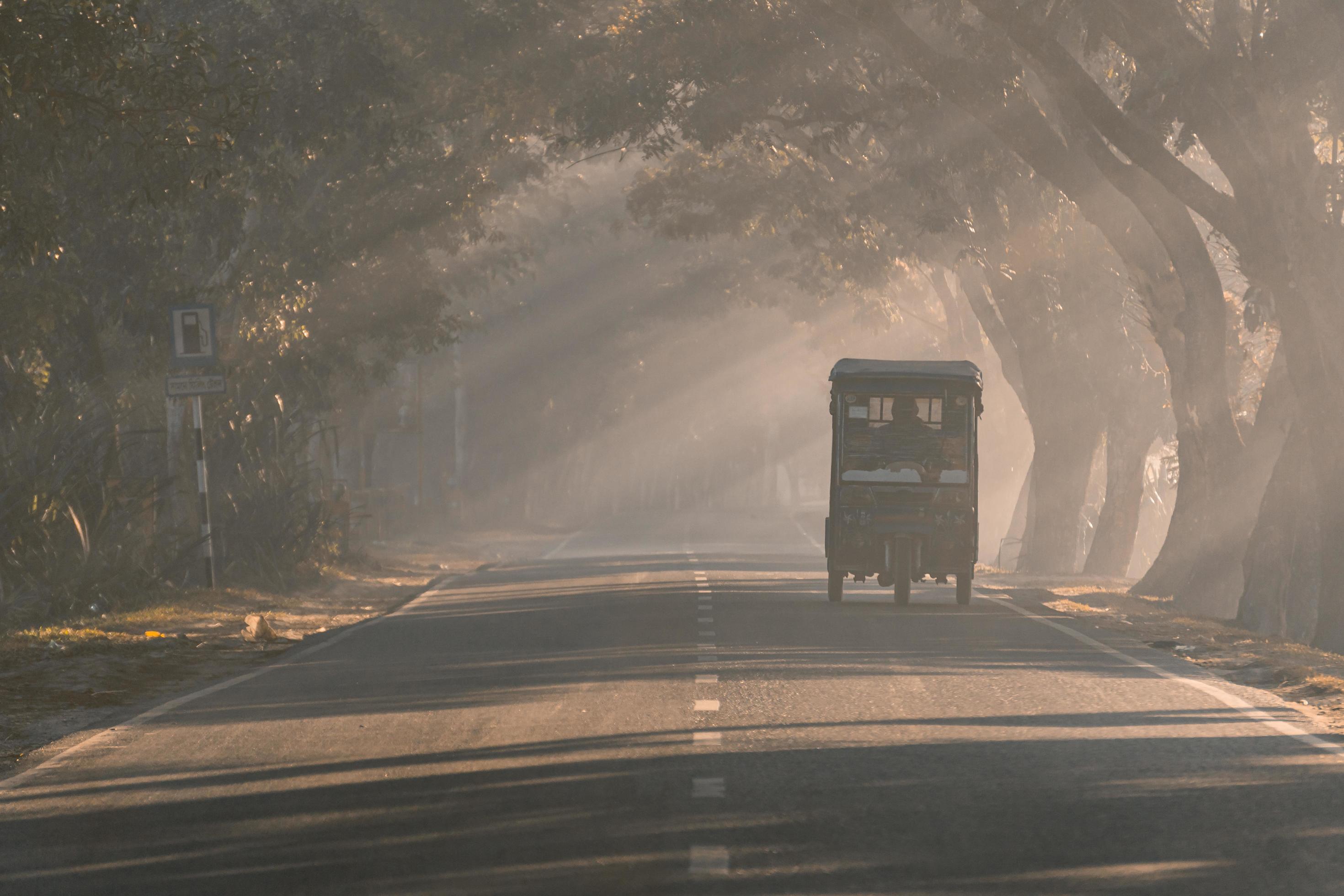 driving through the foggy road Stock Free