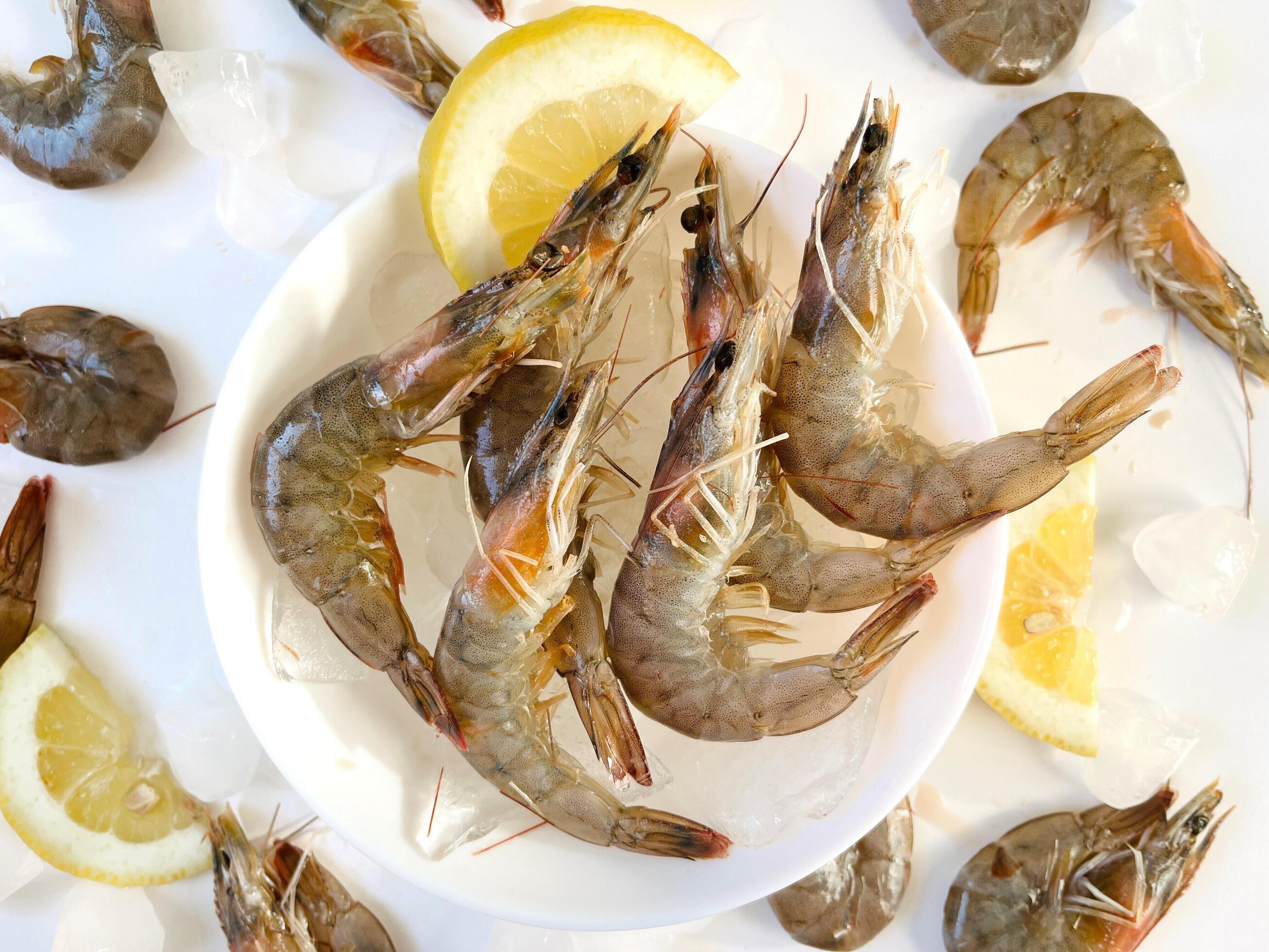 Healthy food. Fresh shrimps with ice and lemon on plate on white background top view Stock Free